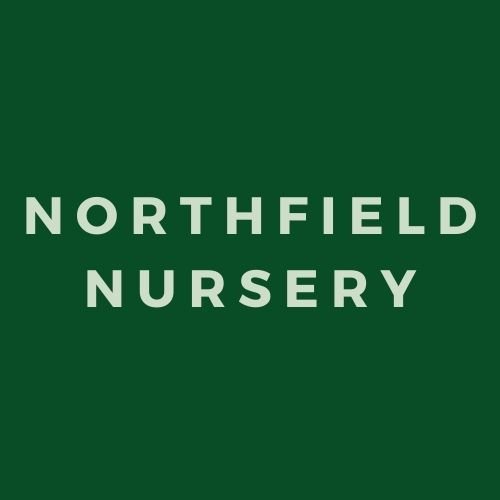 Northfield Nursery 
