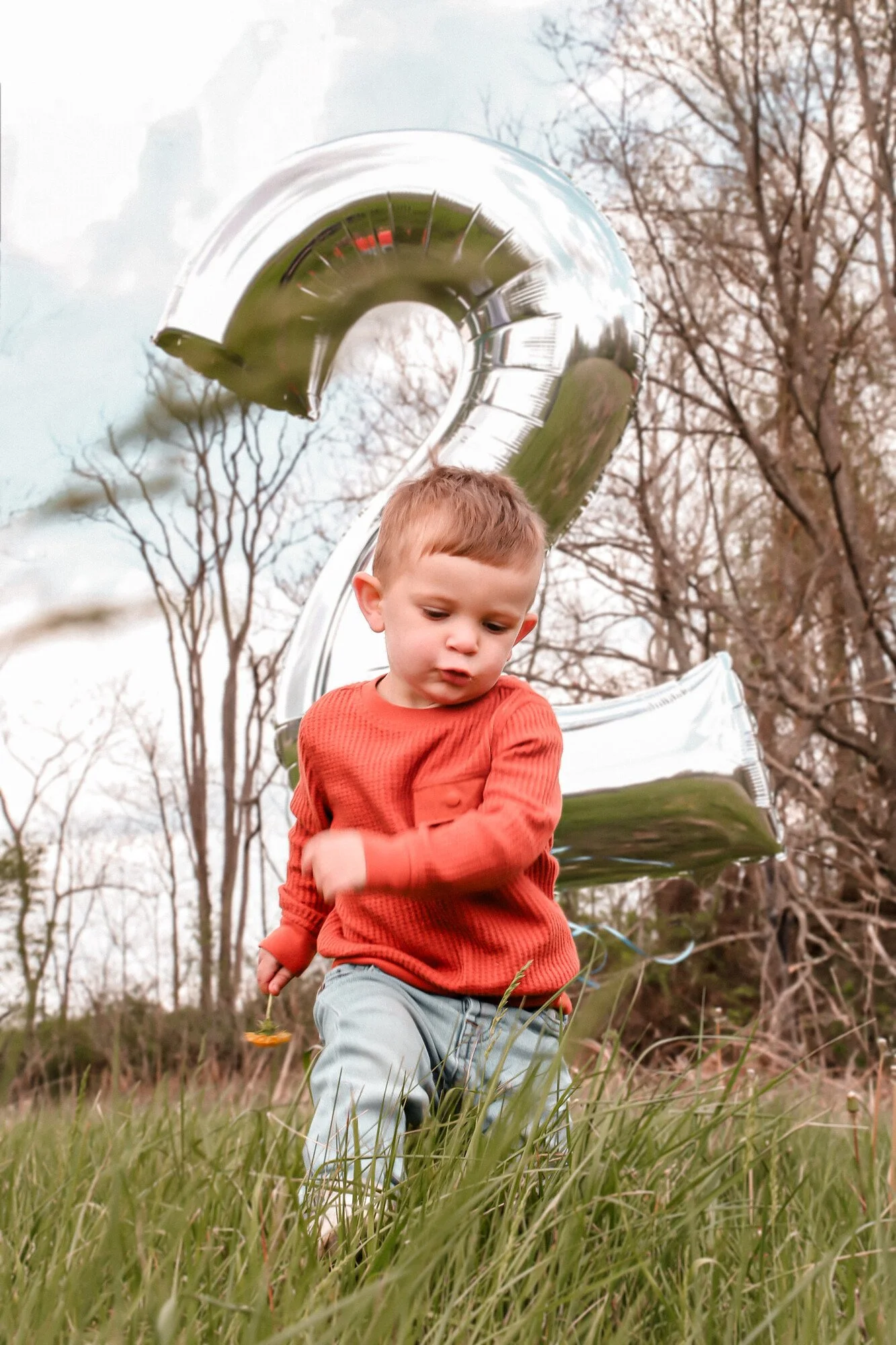 Jax's 2nd Birthday 