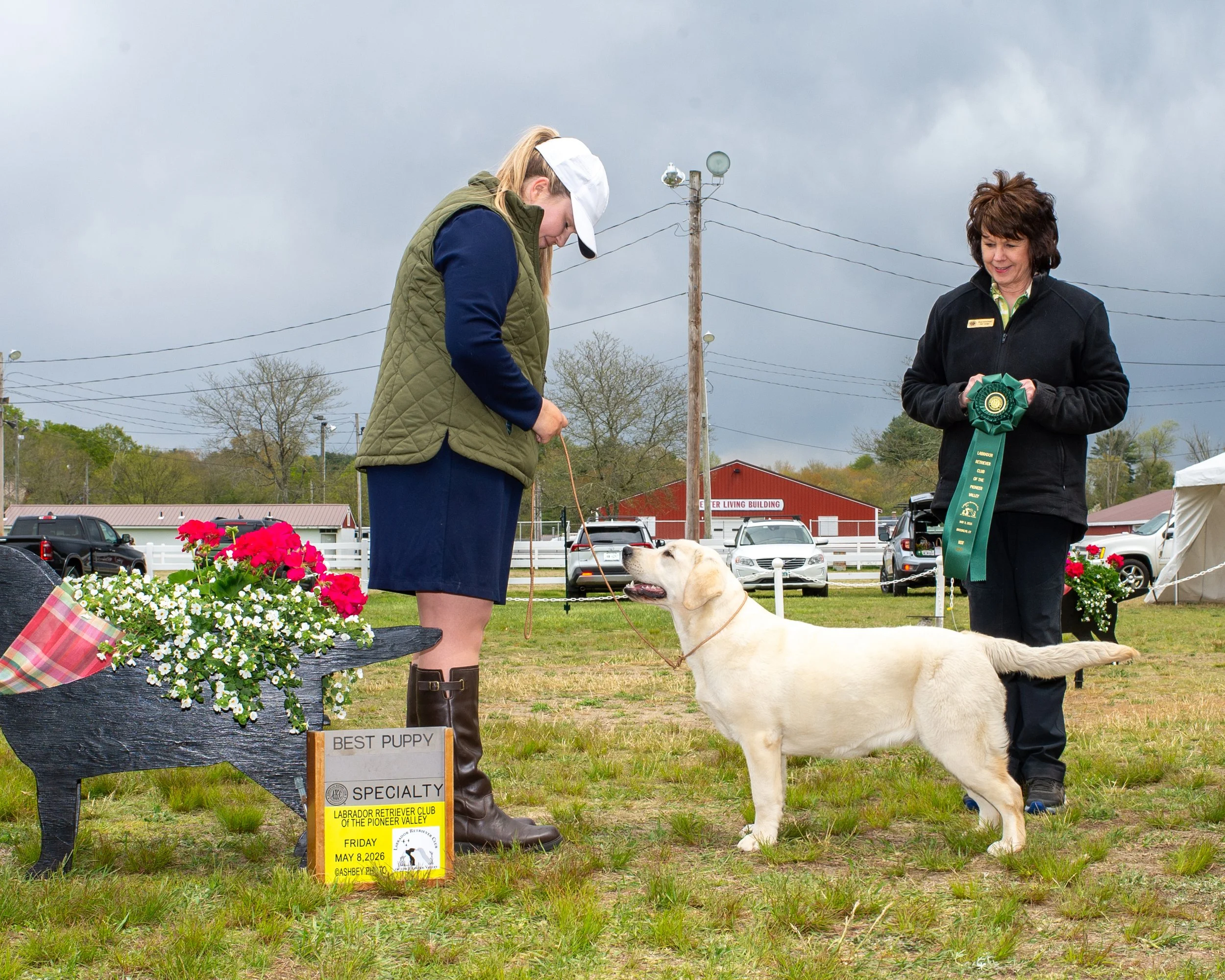 Best Puppy at Pioneer LRC under Judge Sherri Kirschner (Big Sky Labradors)