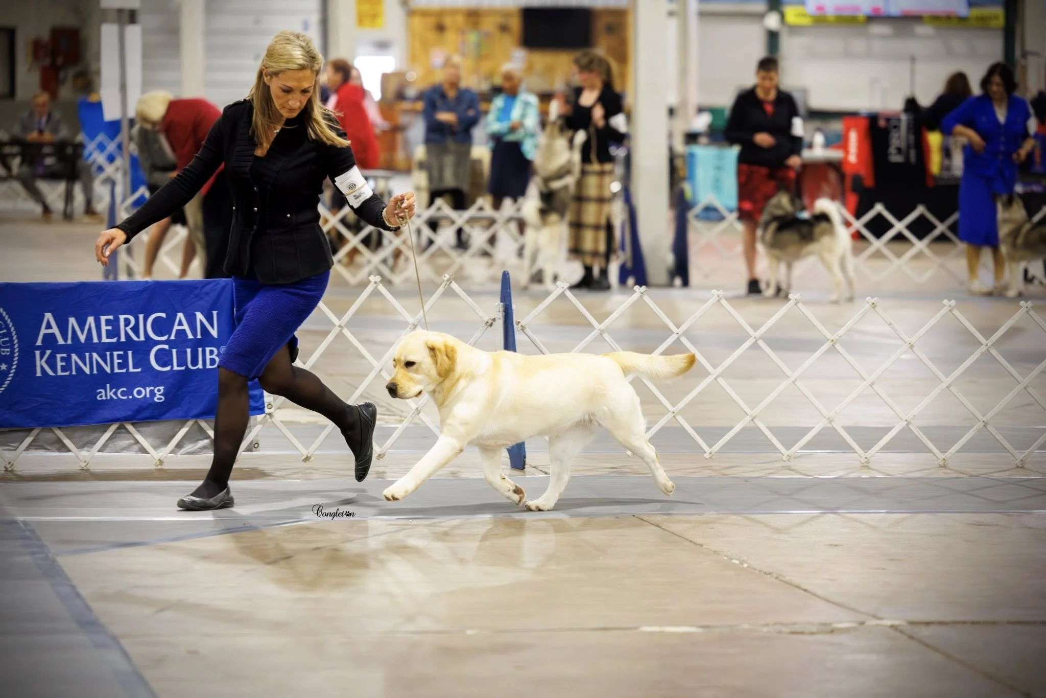 nikki springfiel 11_25 move2.jpg