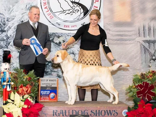 Jackie+Win+DelawareWGKCDec25.webp