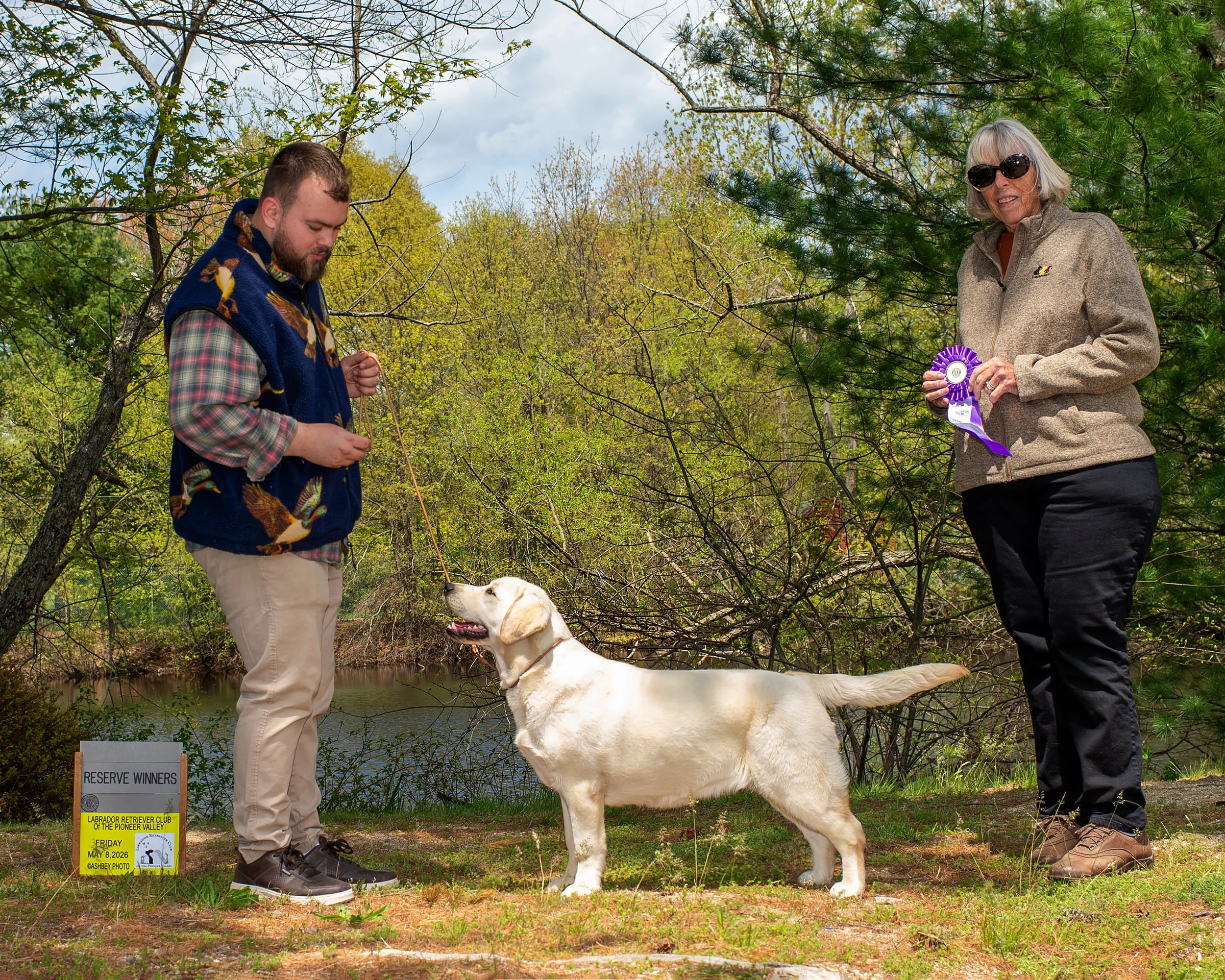 Reserve Winners at Pioneer Valley LRC under Judge Vonnie Russel (Hyspire Labradors)