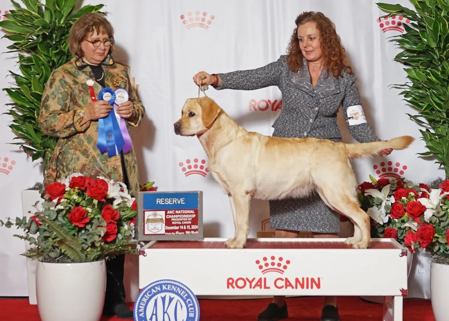 Jackie+AKC+National+2024+Res.webp