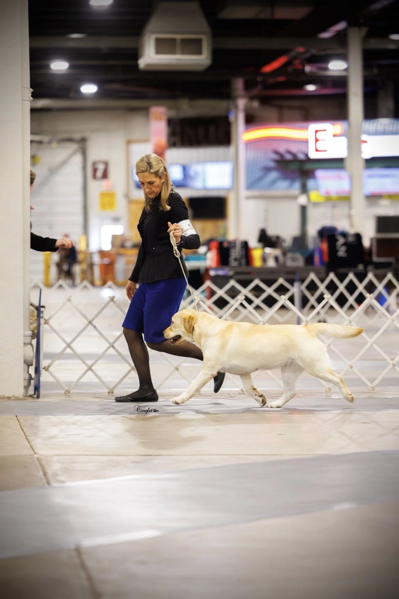 nikki springfield 11_25 move .jpg