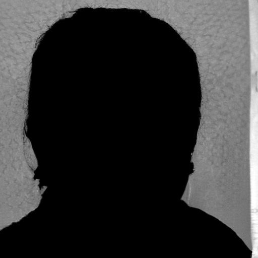 Silhouette of a person with short hair and earrings, standing against a brick wall.