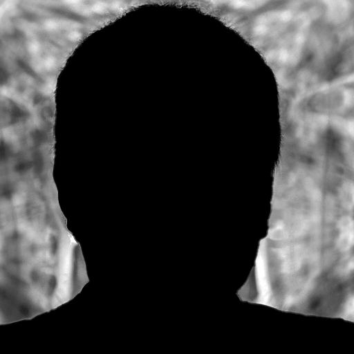 Silhouette of a person's head and shoulders with a blurred outdoor background.