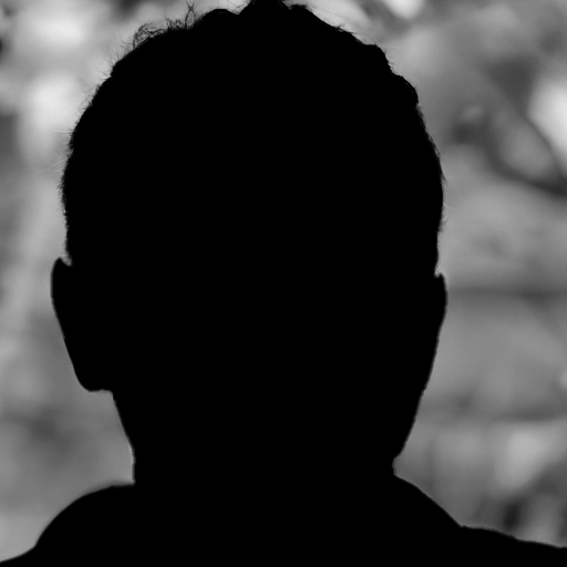Silhouette of a person with short hair and earrings, standing against a brick wall.