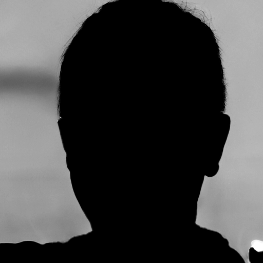 Silhouette of a child's head and shoulders against a blurred background.
