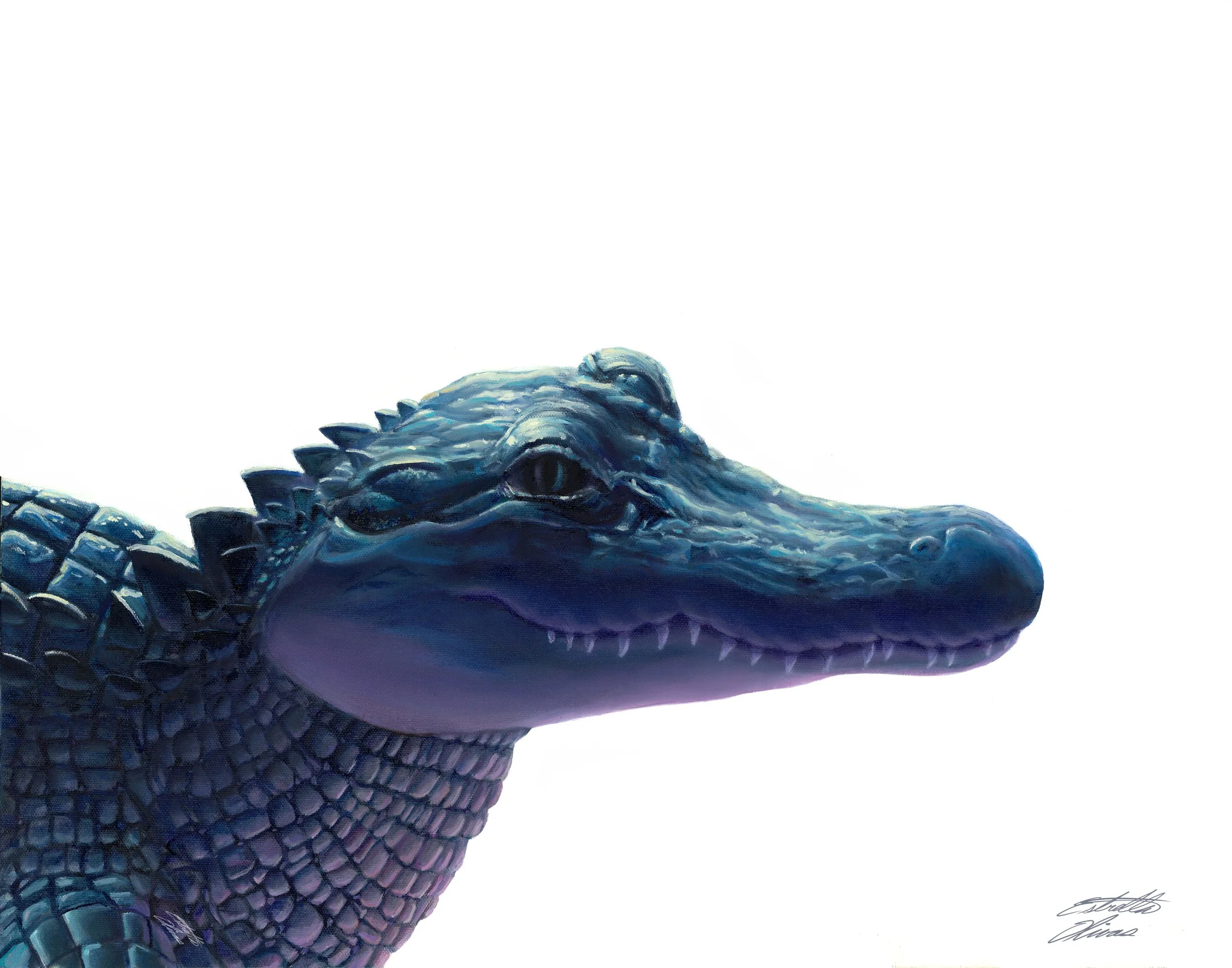 "Melanistic Alligator" Oil on Canvas