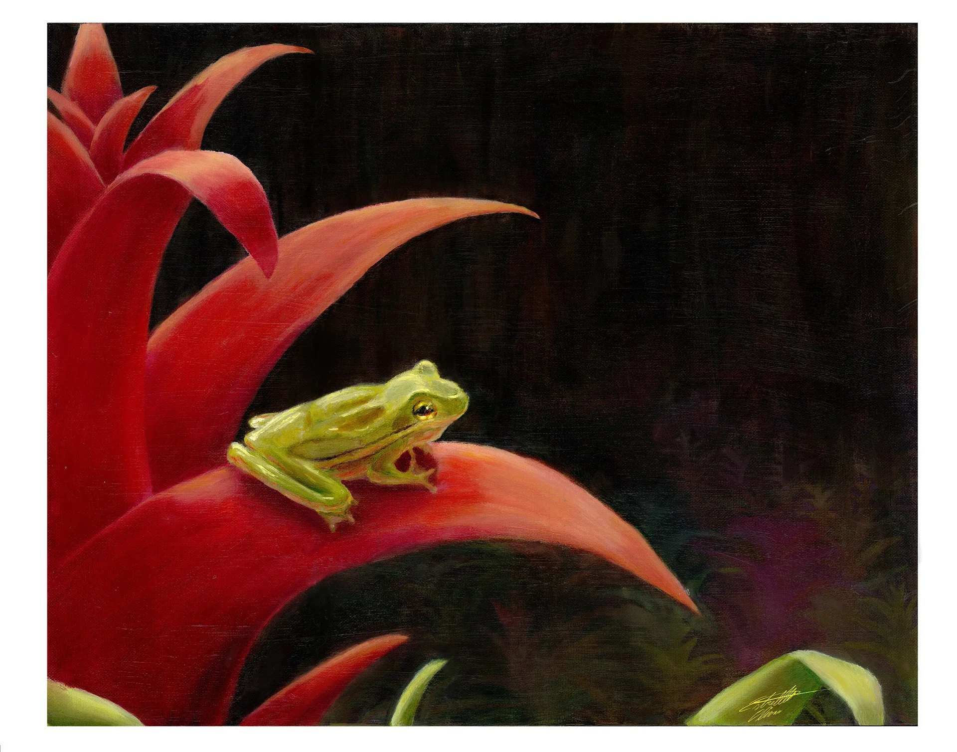 "Symbiosis" Oil on Canvas