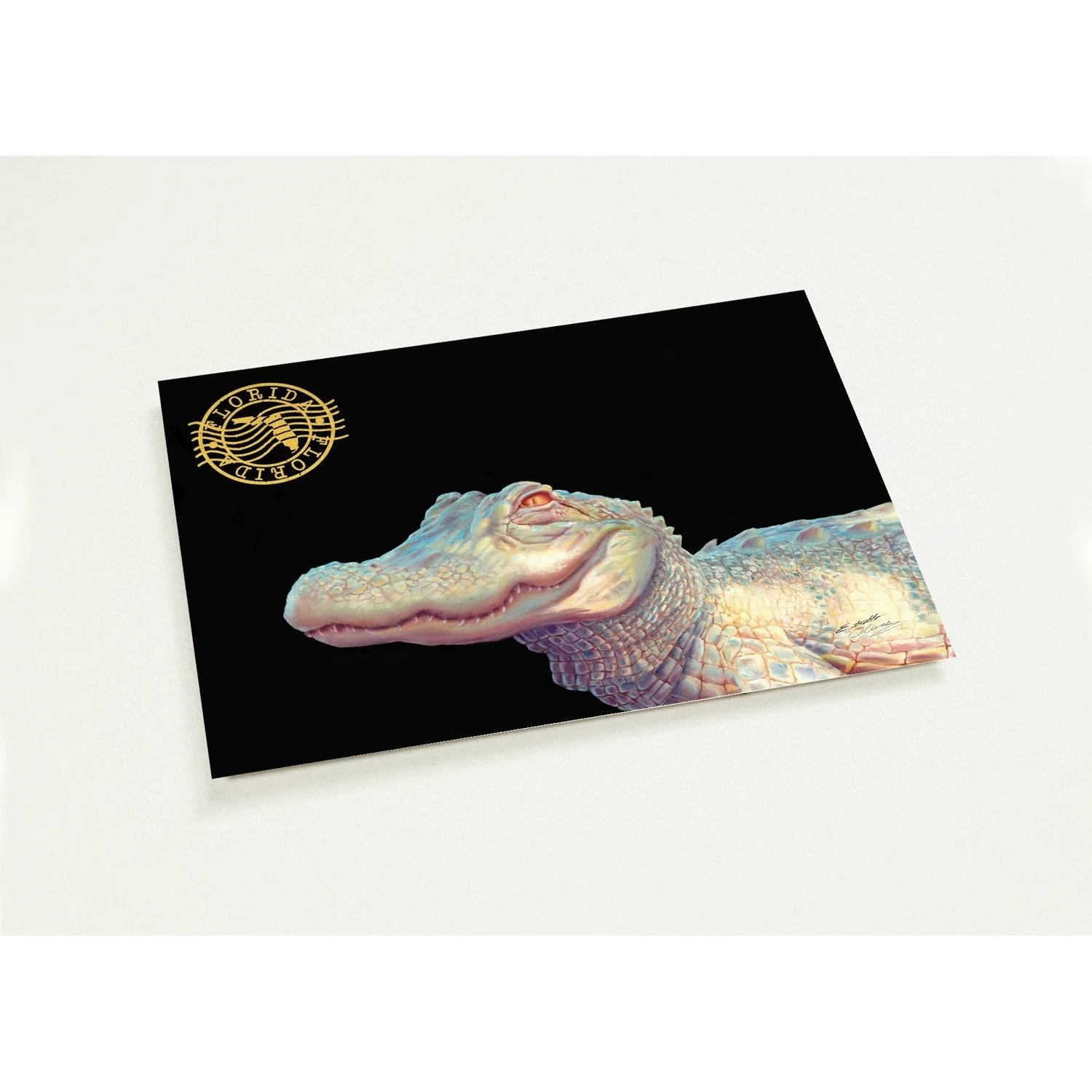 "Smiling Albino Alligator" Postcard
