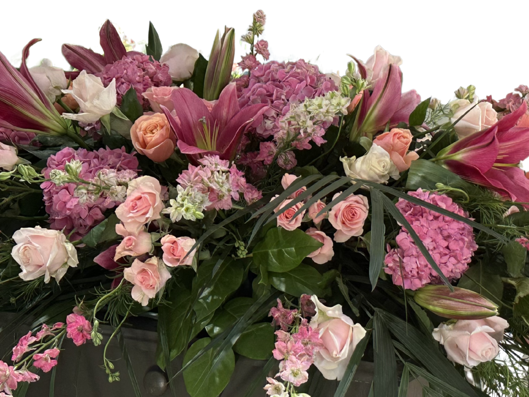 Untitled design 2.png