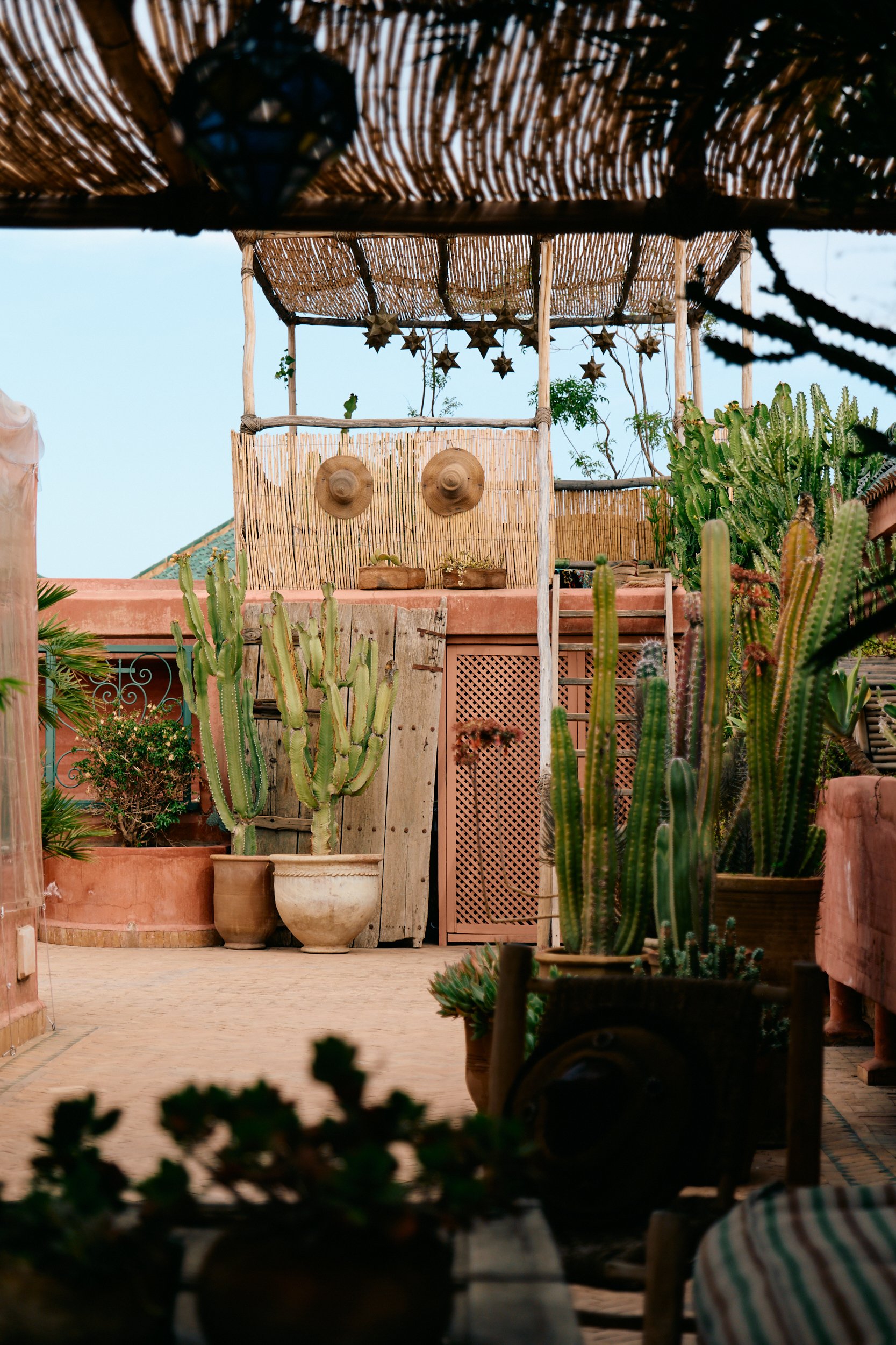 Overzicht van het dakterras van riad Jardin in Marrakech door botanisch fotograaf Boudewijn Boer.
