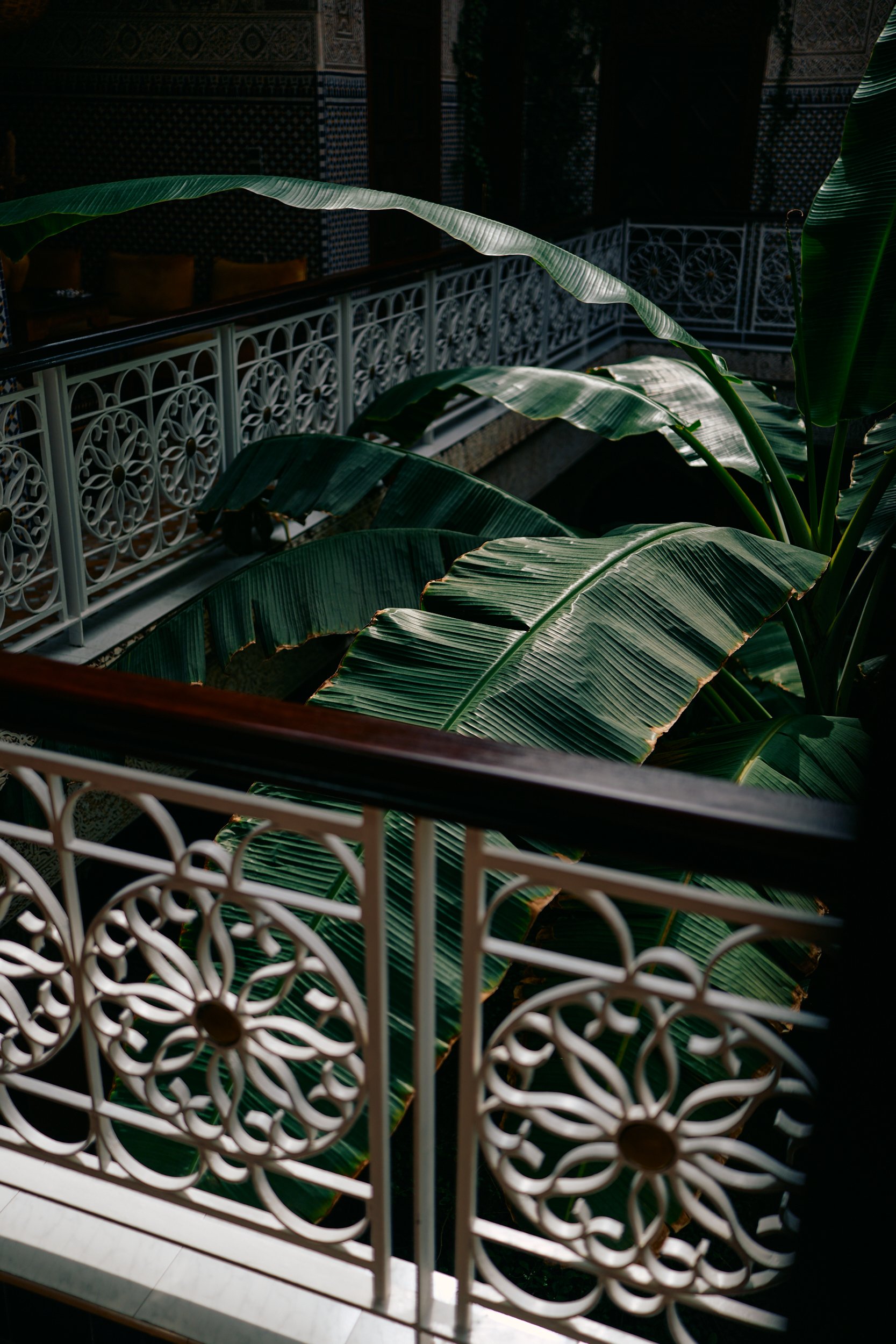 Beeldvullend palmblad in de binnenplaats van Riad Jardin Secret in Marrakech.