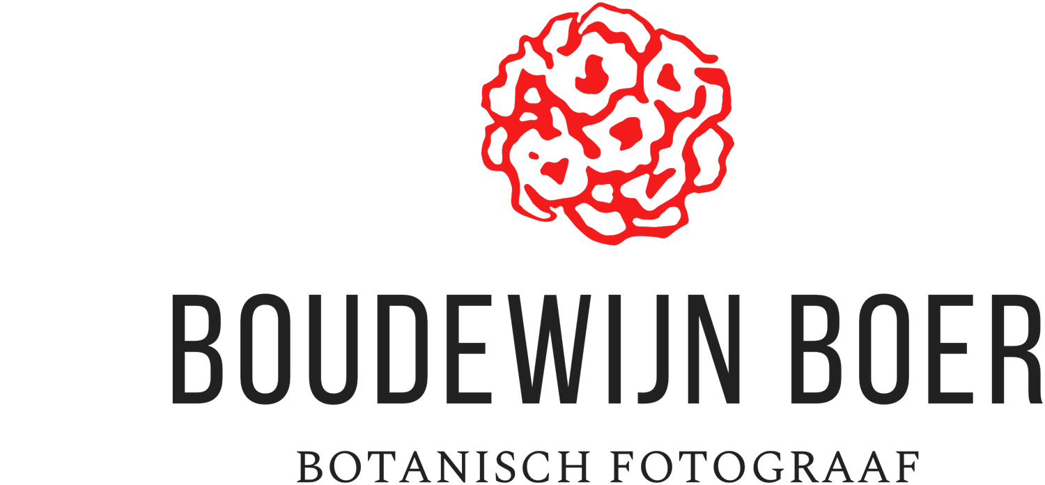 Boudewijn Boer, Botanisch Fotograaf