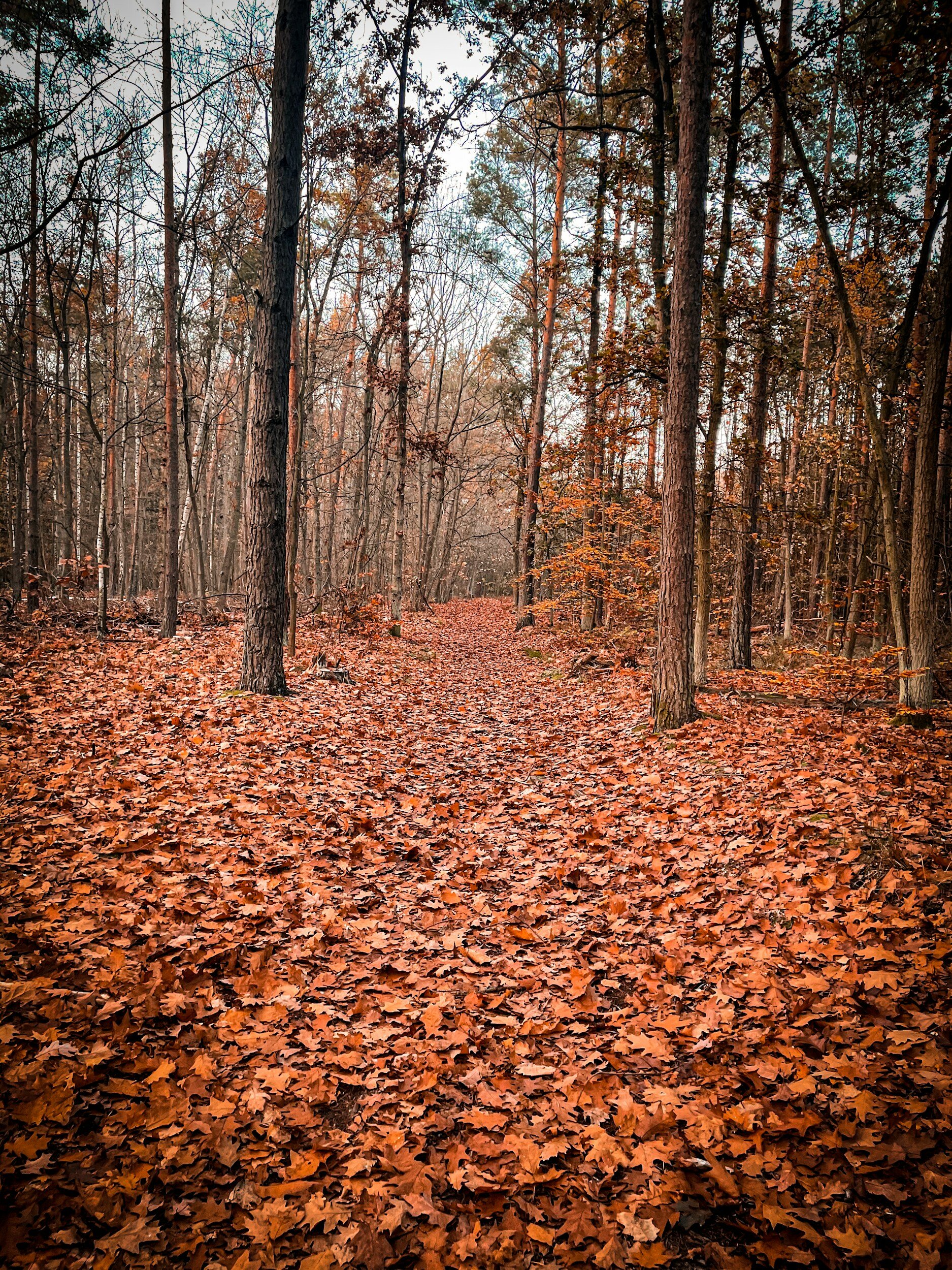 FERMETURE DE SAISON
