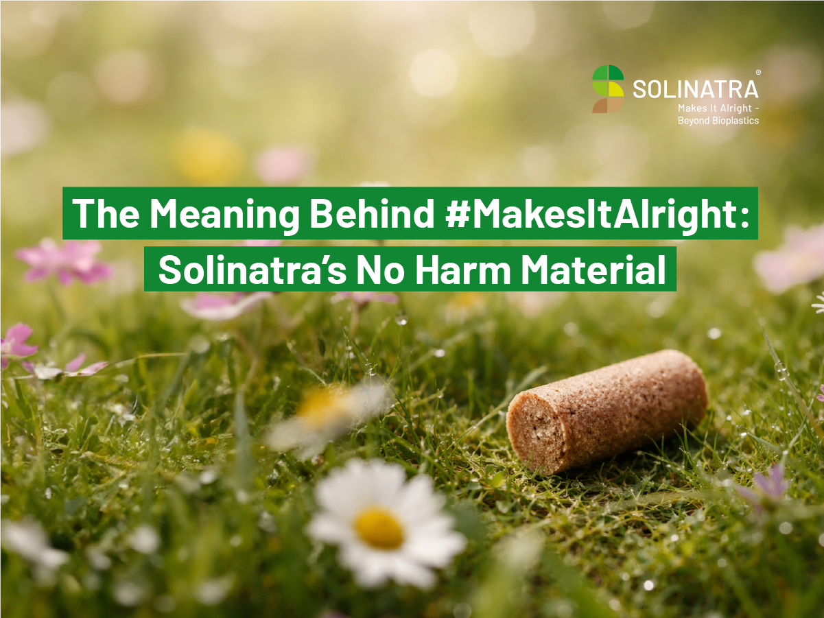 The Meaning Behind #MakesItAlright: Solinatra’s No Harm Material