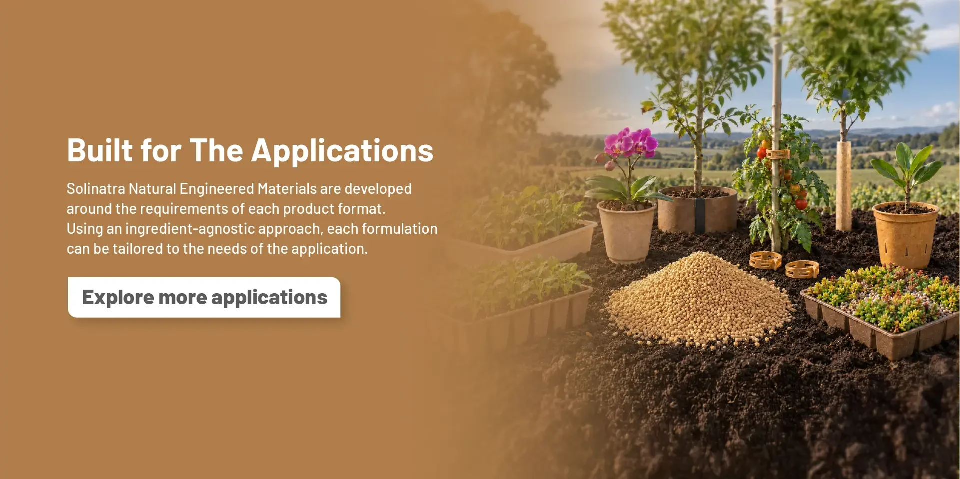 Explore application.webp