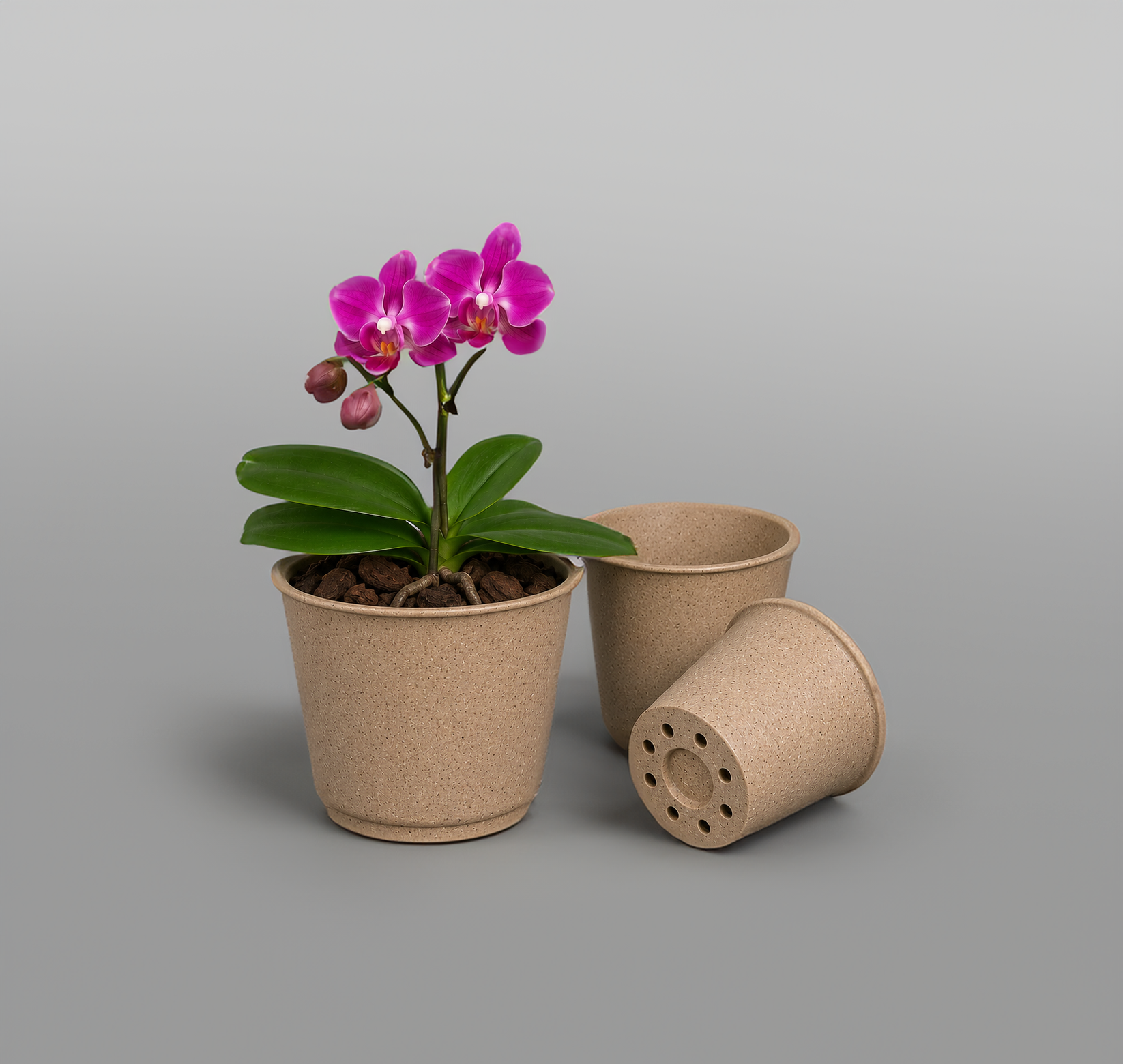 Orchid pot 2.png