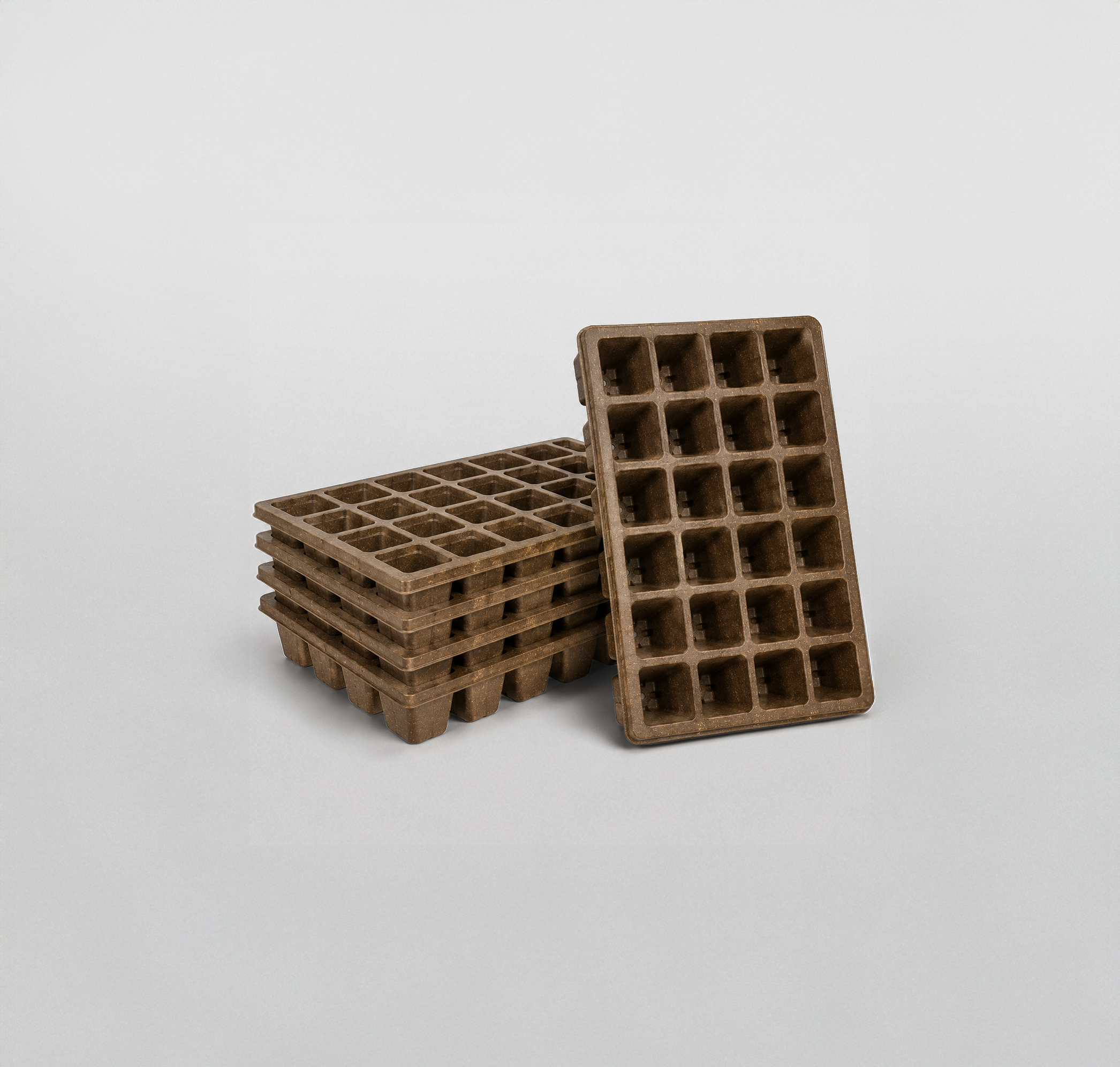 Propagation tray.png