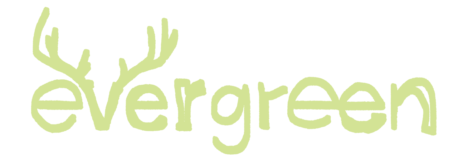 EVERGREEN