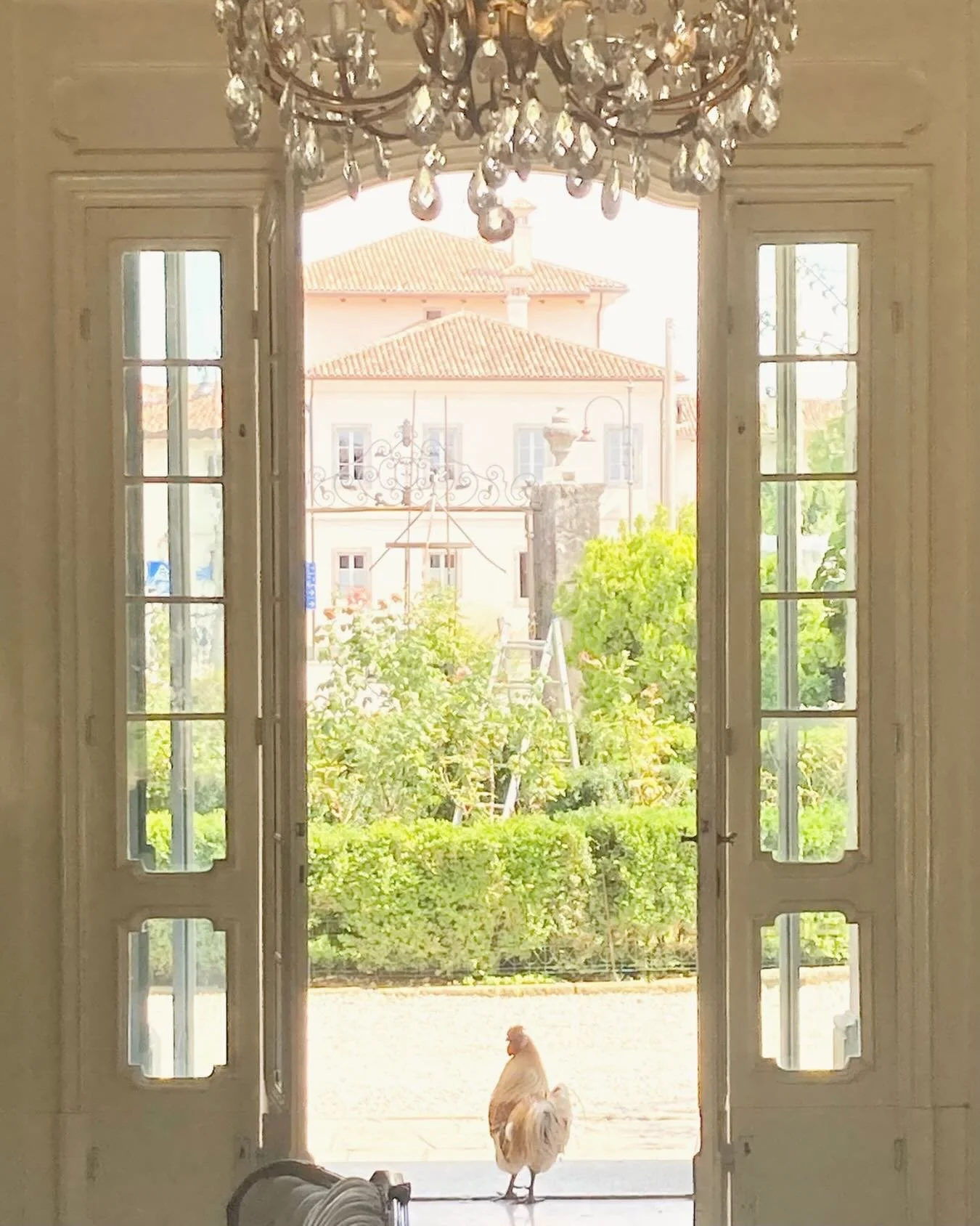 Wir w&uuml;nschen euch sch&ouml;ne Ferien! Lasst es euch gut gehen und macht es euch so sch&ouml;n wie dieser Hahn hier, den wir f&uuml;r euch in einem alten Herrenhaus in Italien entdeckt haben! #urlaubsarchitektur #innenarchitektur #interiordesign 