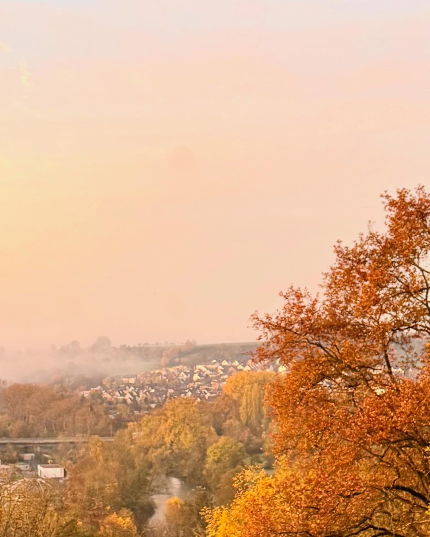Der Blick aus unserem Studio am Morgen ist unbezahlbar &ndash; er inspiriert, befl&uuml;gelt und tr&auml;gt die Stimmung mit in den Tag.
Er zeigt uns, wie eng Architektur und Au&szlig;enraum miteinander verbunden sind &ndash; und welche Wirkung entst