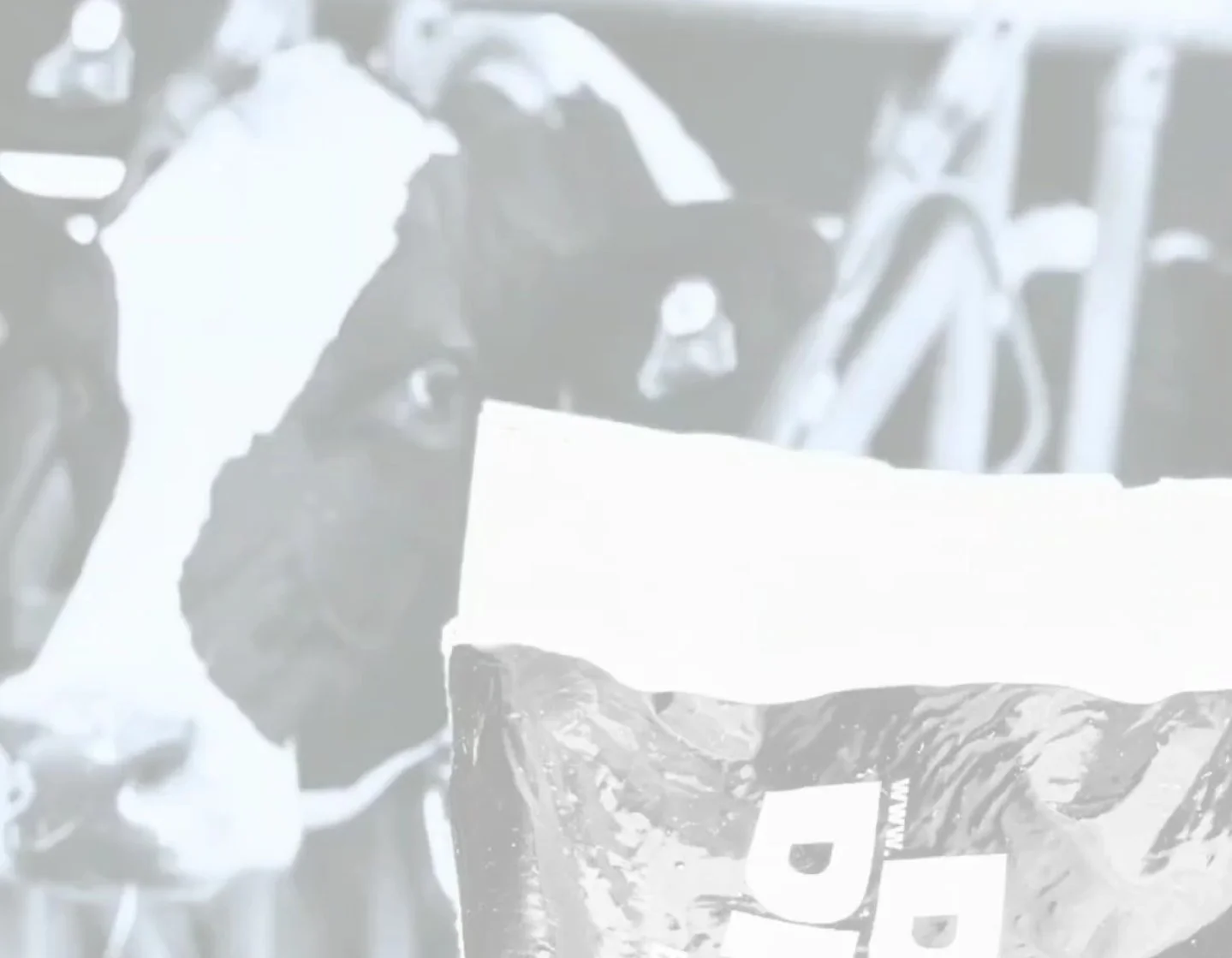 Our Precalver Nut Blend