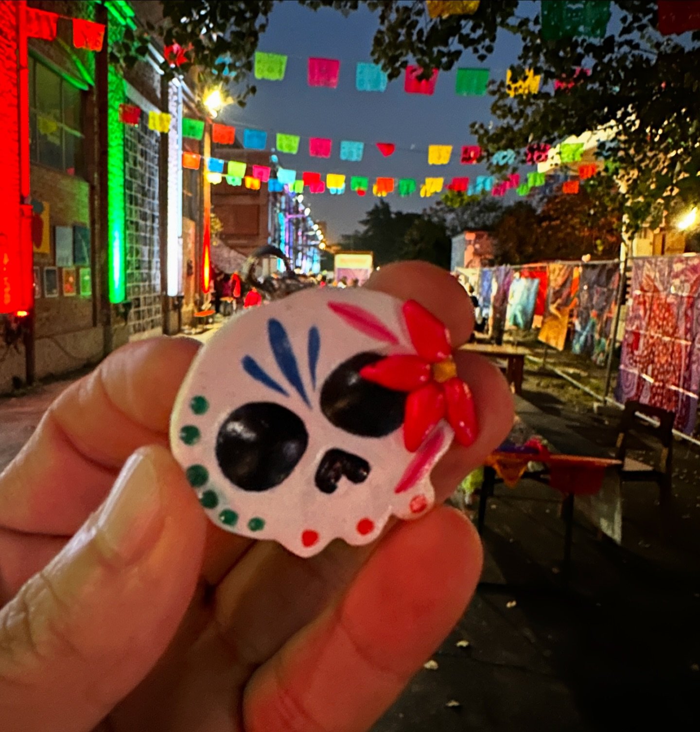 N.V Art al @vivalavida.mex.festival