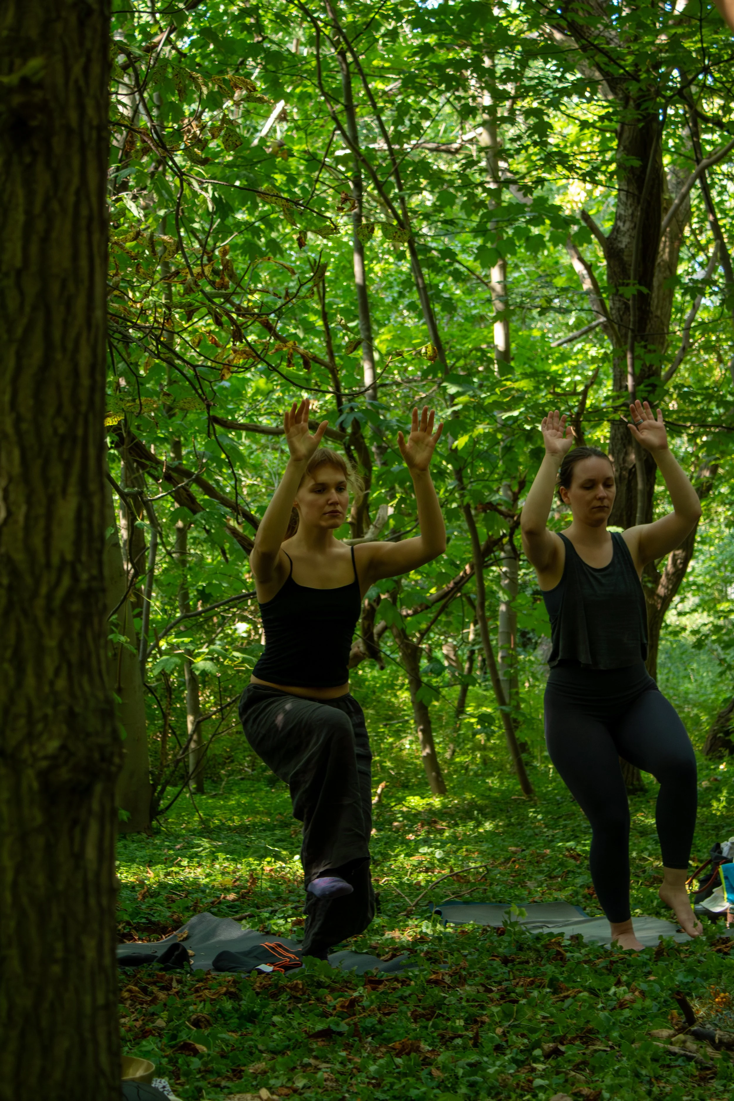 Two women practicing yoga outdoors in a forest, balancing on one leg with raised arms, surrounded by lush green trees and foliage.
