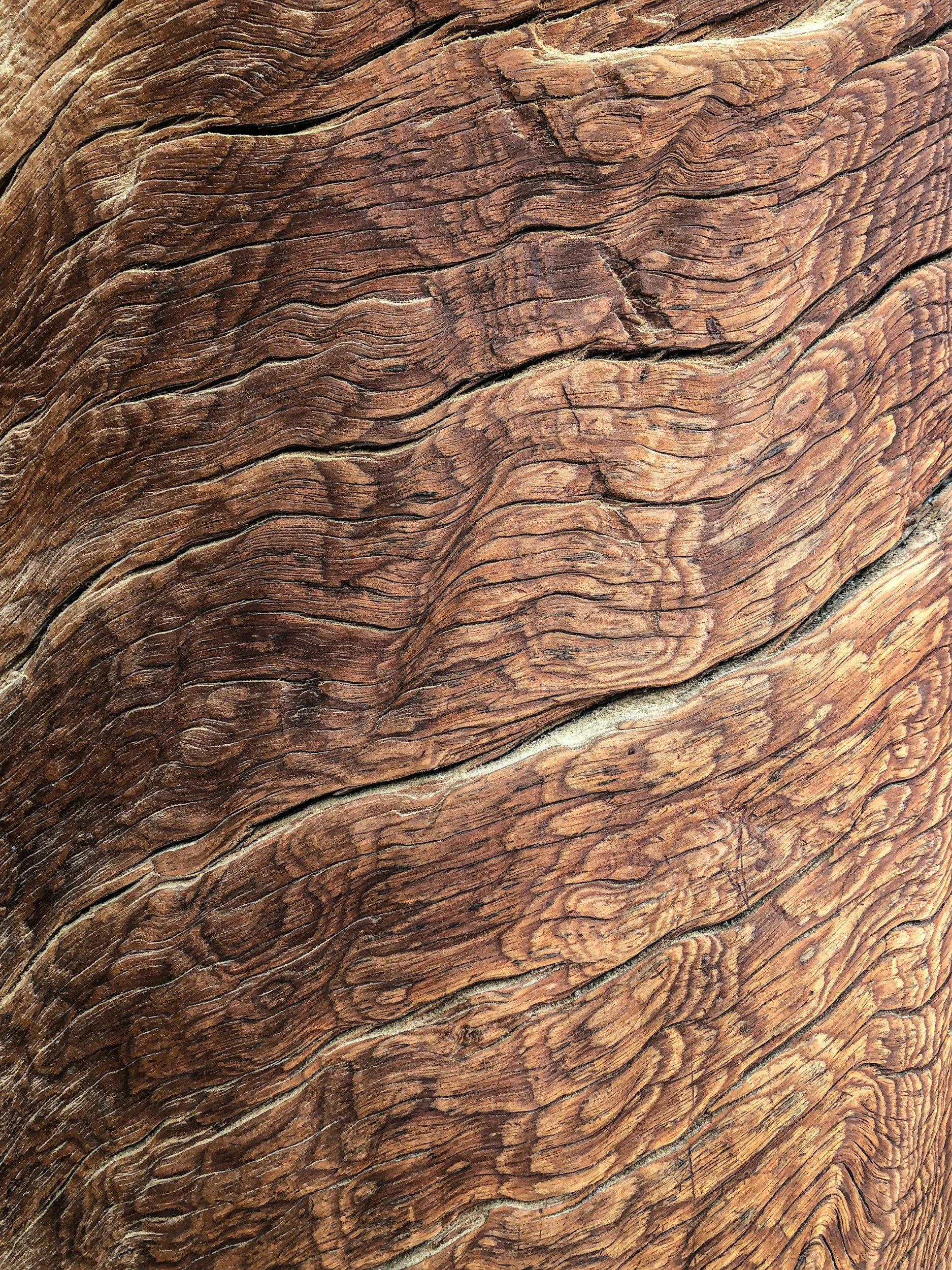 wood grains,wam, beauty of wood