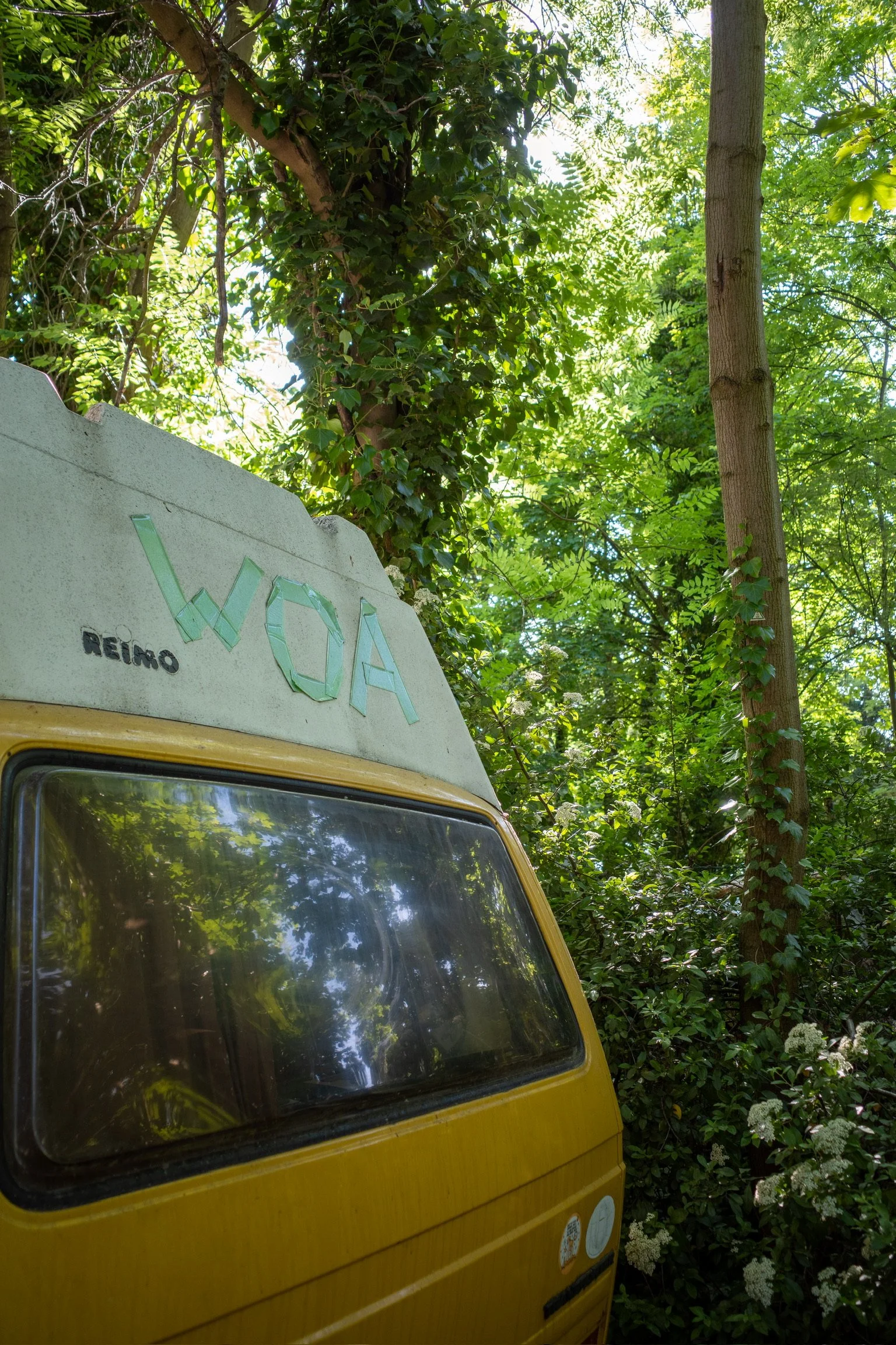 Gelber Campervan im Wald, umgeben von Bäumen und Pflanzen, mit Aufschrift "WOA" und "Reimo" auf dem Dach.