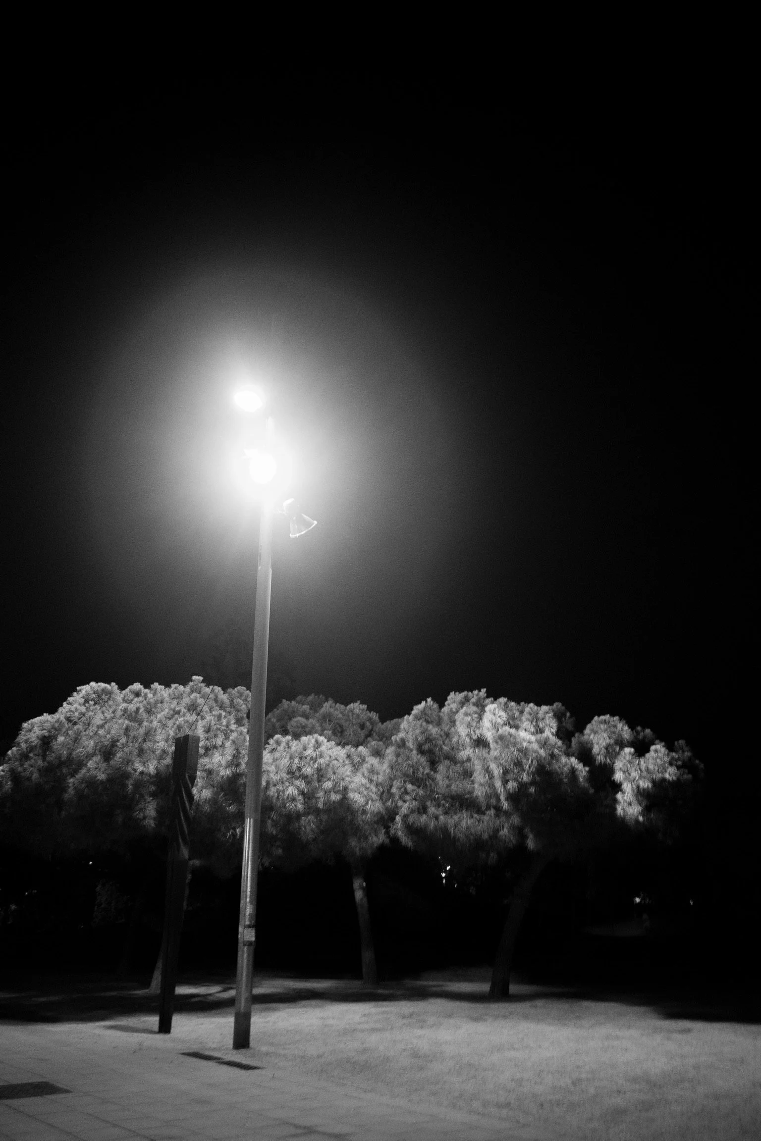 Schwarz-Weiß-Foto eines beleuchteten Gehwegs bei Nacht mit Bäumen im Hintergrund und einer Straßenlaterne im Vordergrund.