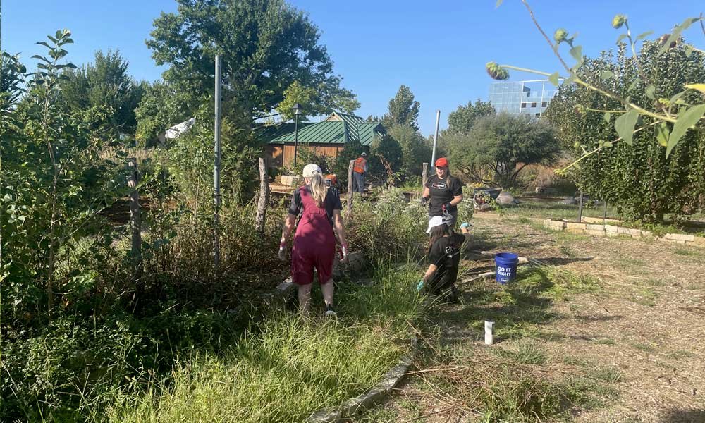 Garden-10.jpeg