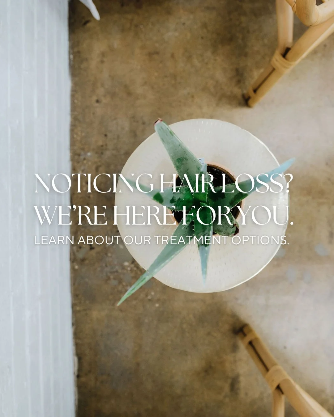 We understand how hard it can be to experience hair loss, and we're here to offer you support.⁠
⁠
From personalized treatments to comprehensive, multi step plans, our stylists are here to give your strands &amp; scalp attention and care.⁠
⁠
Not sure 