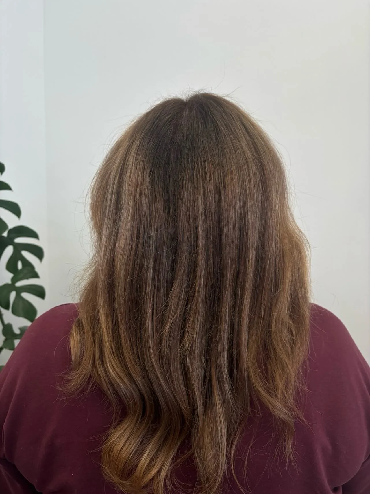 Getting your color done with a junior stylist is one of the best kept secrets in the salon.

You still get a thorough consultation, organic based hair color, and every step is overseen by our senior team. It is a great option if you are flexible on t