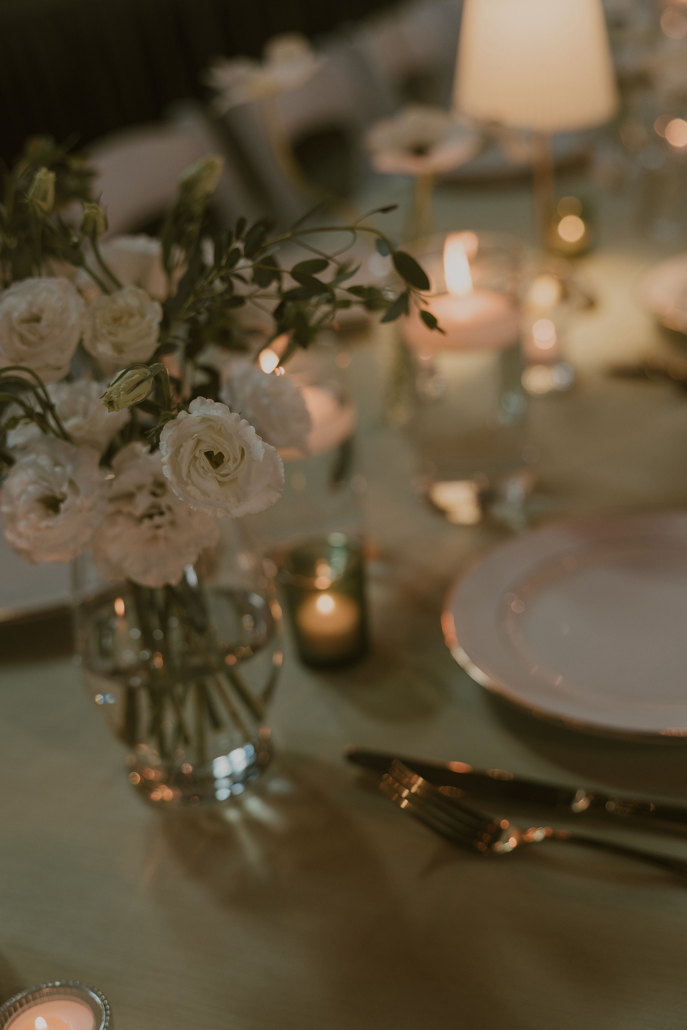 _42A0791-2 (2).png