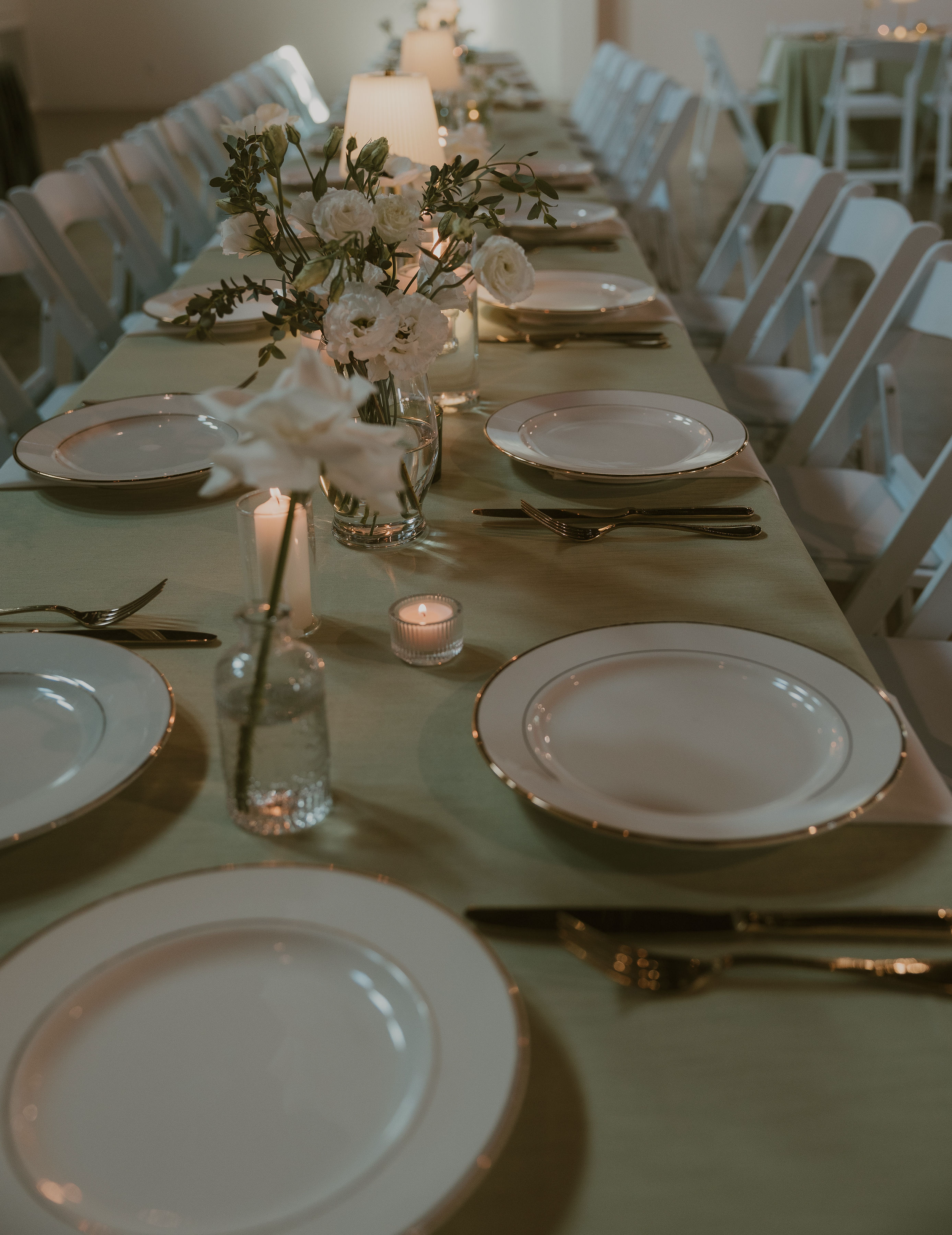 _42A0786 (1).png