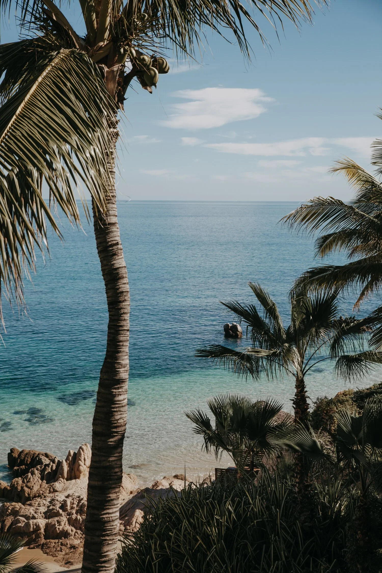 20191215-POwen-CJ-1254.webp