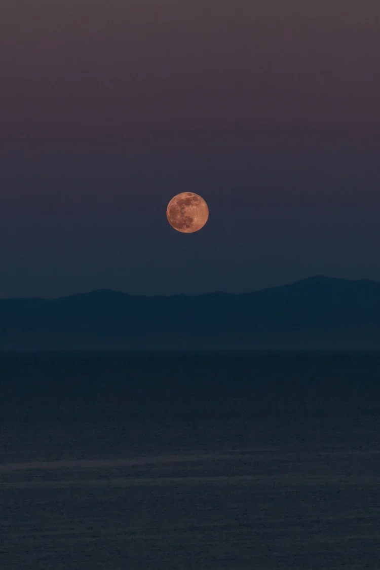 PinkMoon-PaigeOwen-021-Edit-2.webp