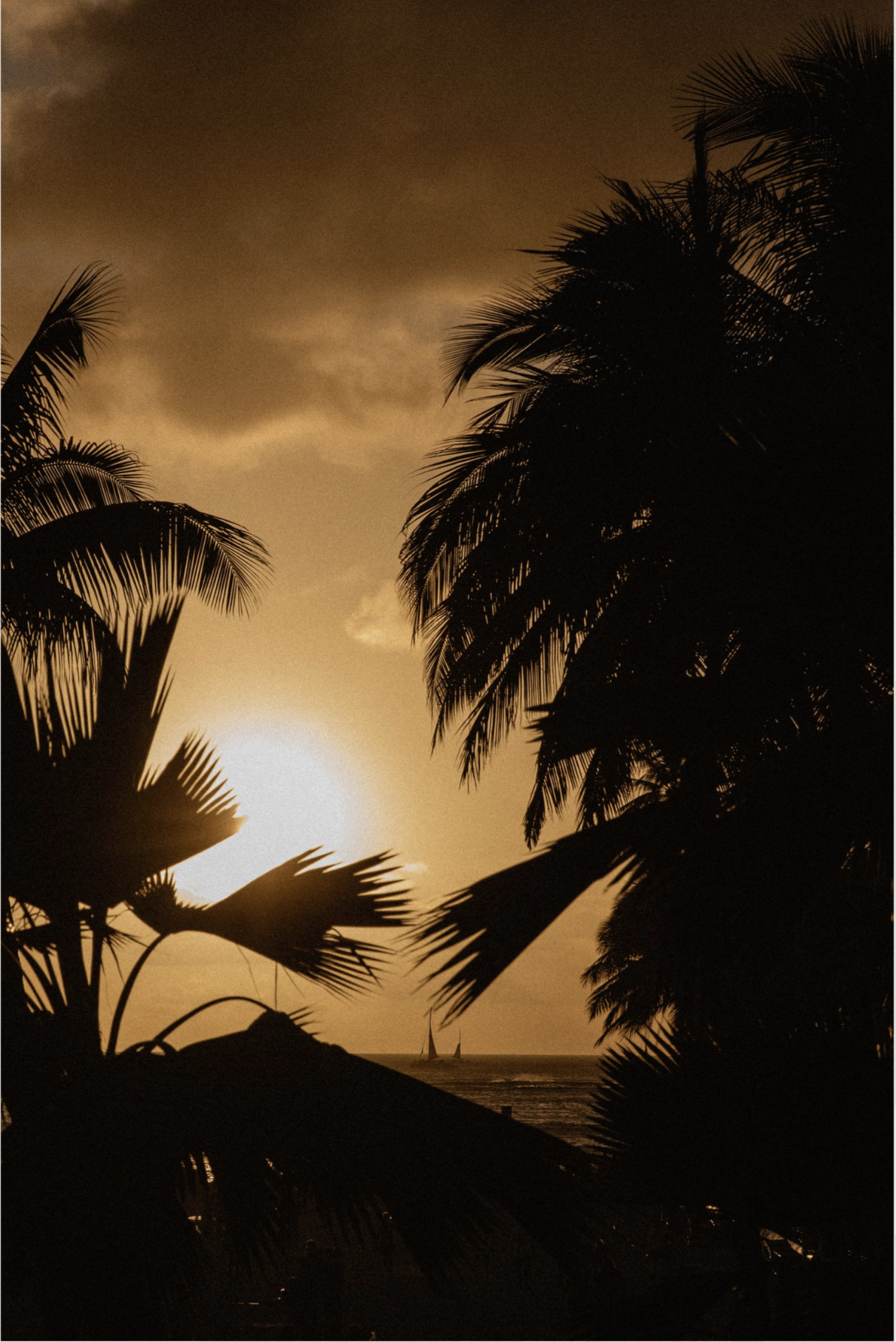PaigeOwen-OahuSunset.webp