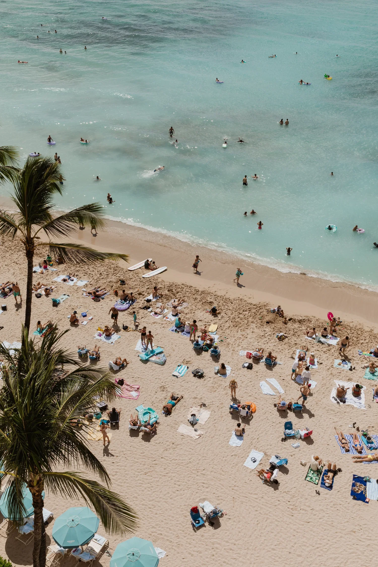 20230225-PaigeOwen-Oahu-0092.webp