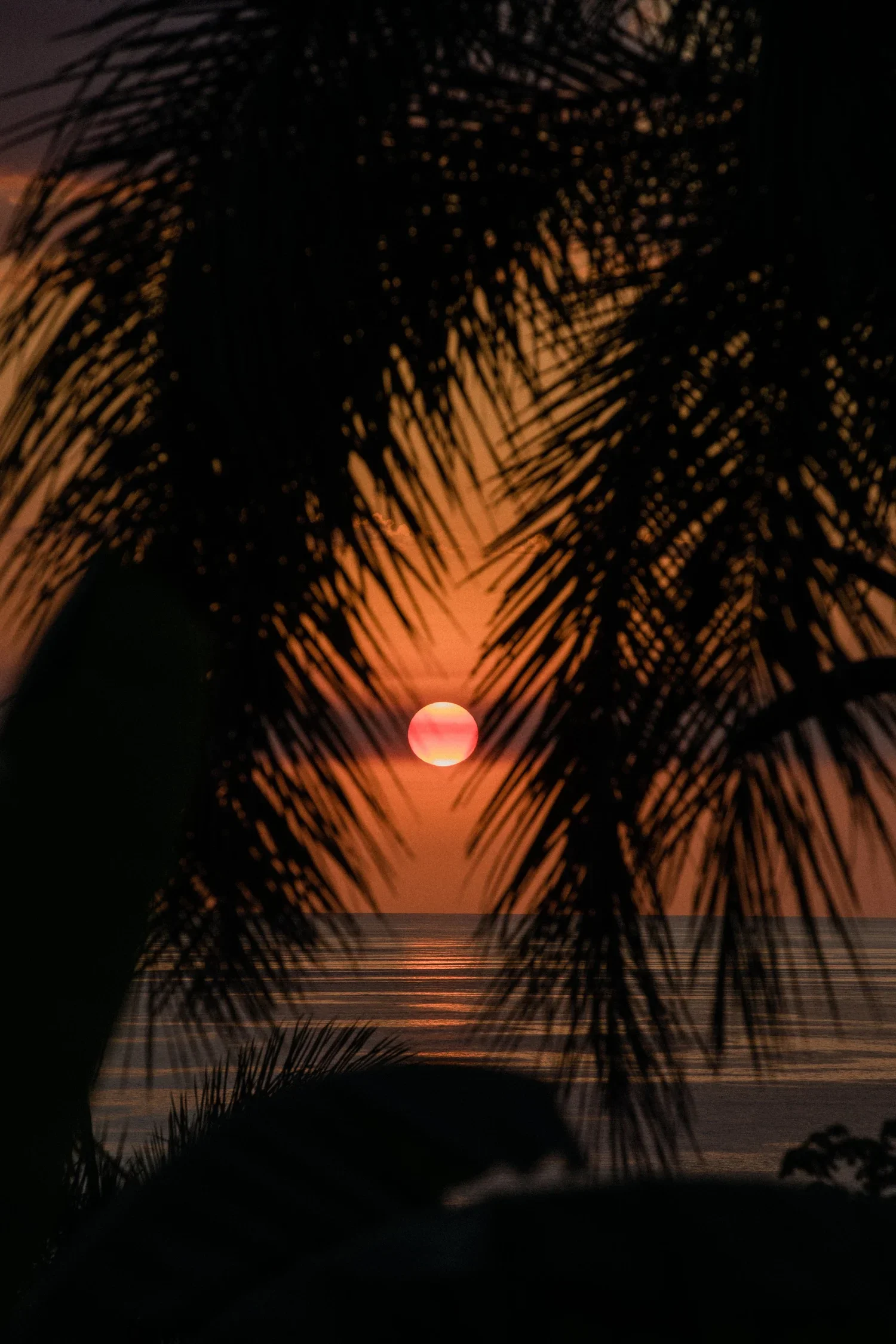 20220325-POwen-CR-4289.webp
