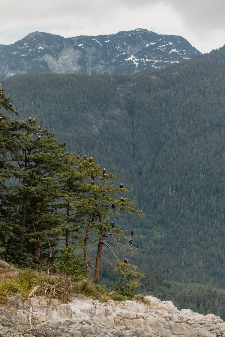 20230617-PaigeOwen-DiscoveryWest-822.webp