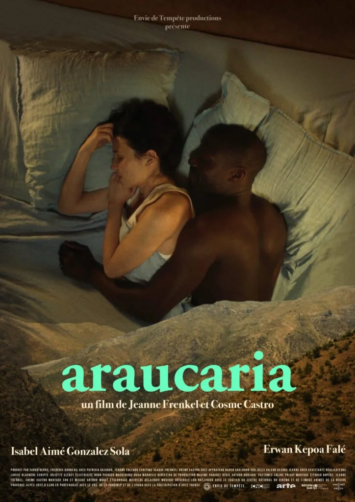 araucaria.jpg