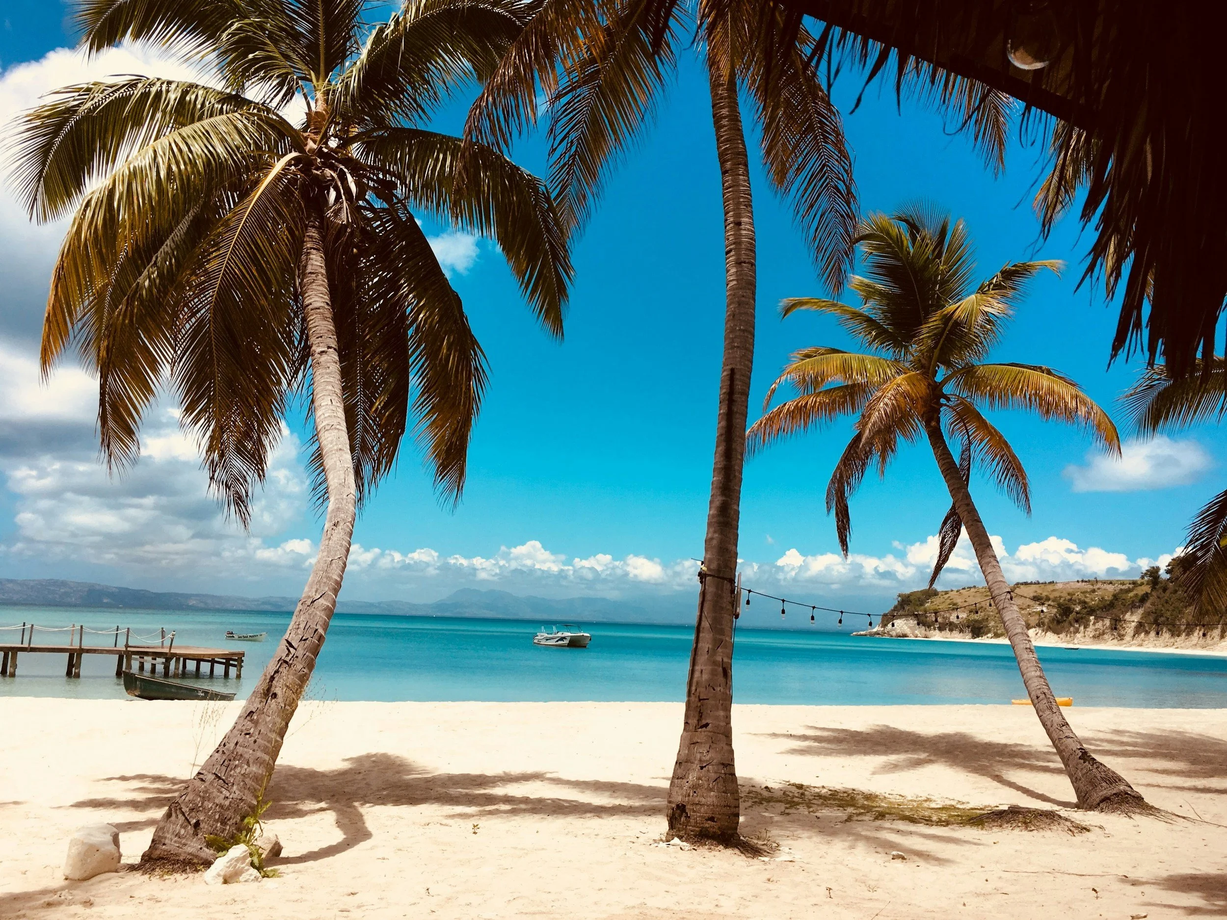 Tropical beach with three palm trees on white sand, turquoise water, boats, a pier, and a distant shoreline under a blue sky with some clouds.