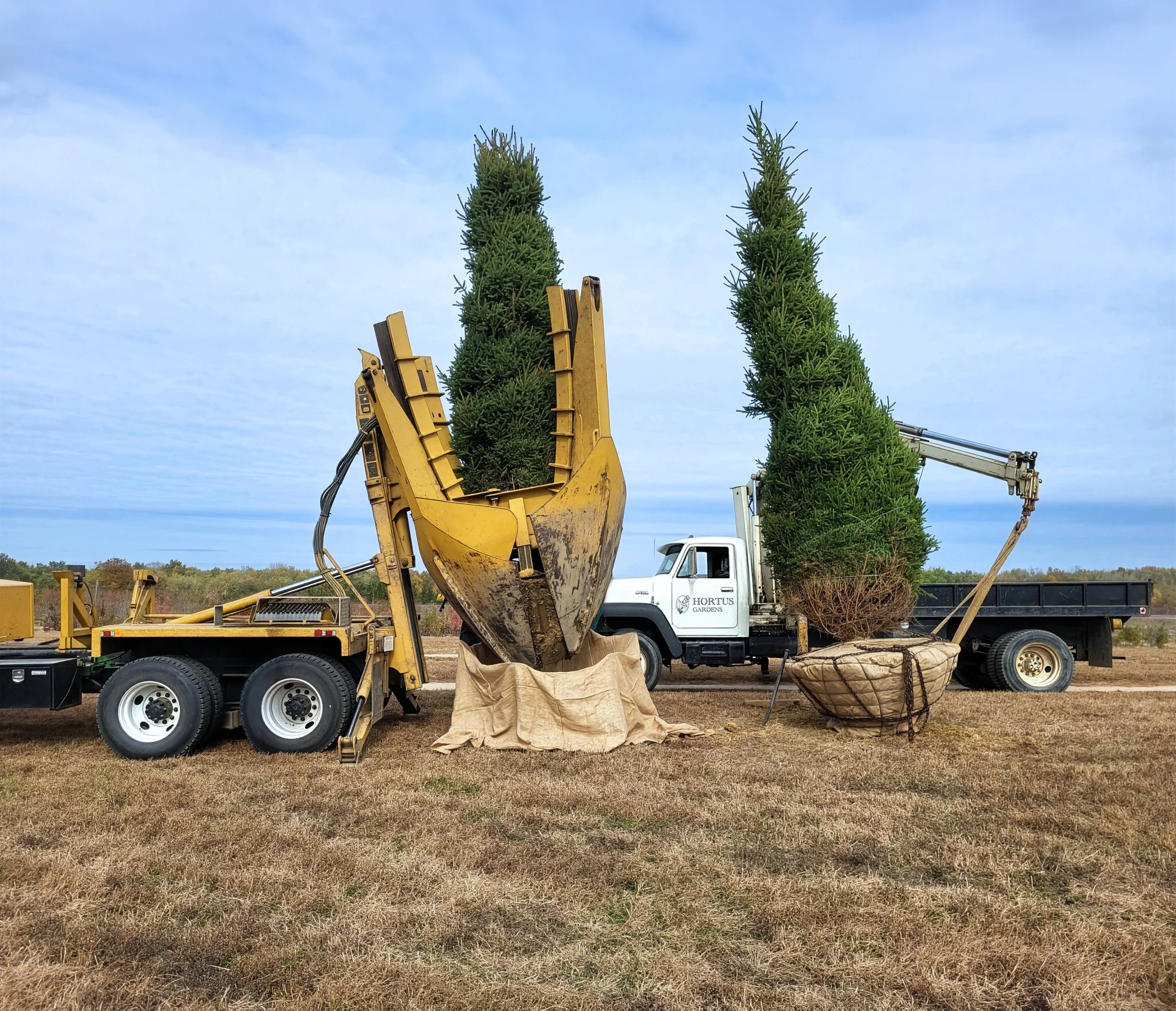 Tree Spade Truck_20221020_111956_Hortus.jpg