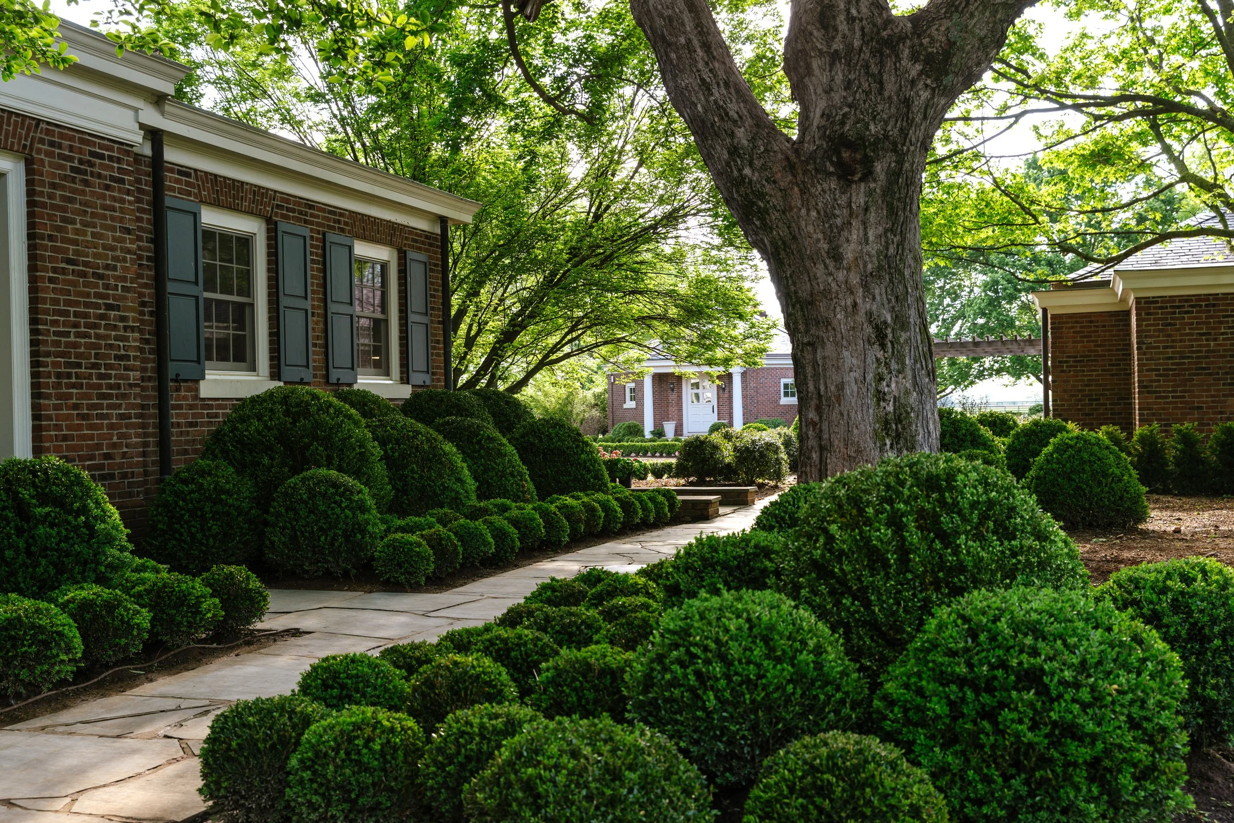 ShawneeFarm_FinalEdits_0148.jpg