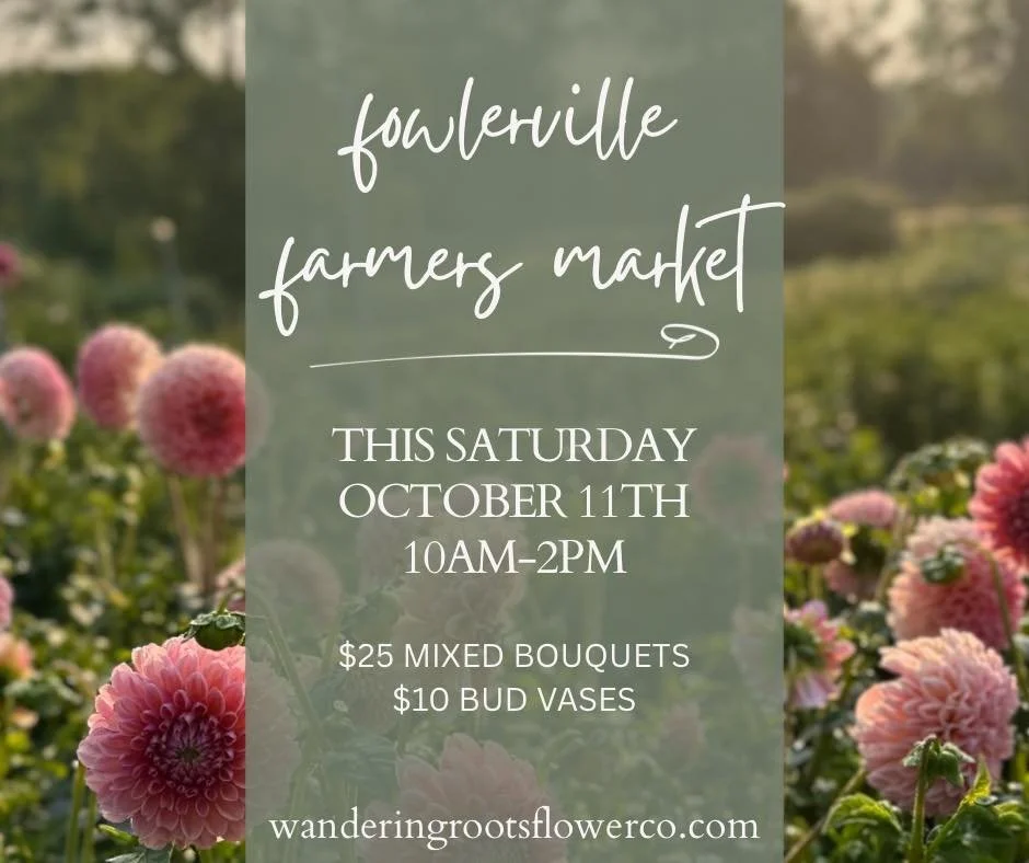 Our last fowlerville market for the season is tomorrow! ✨
