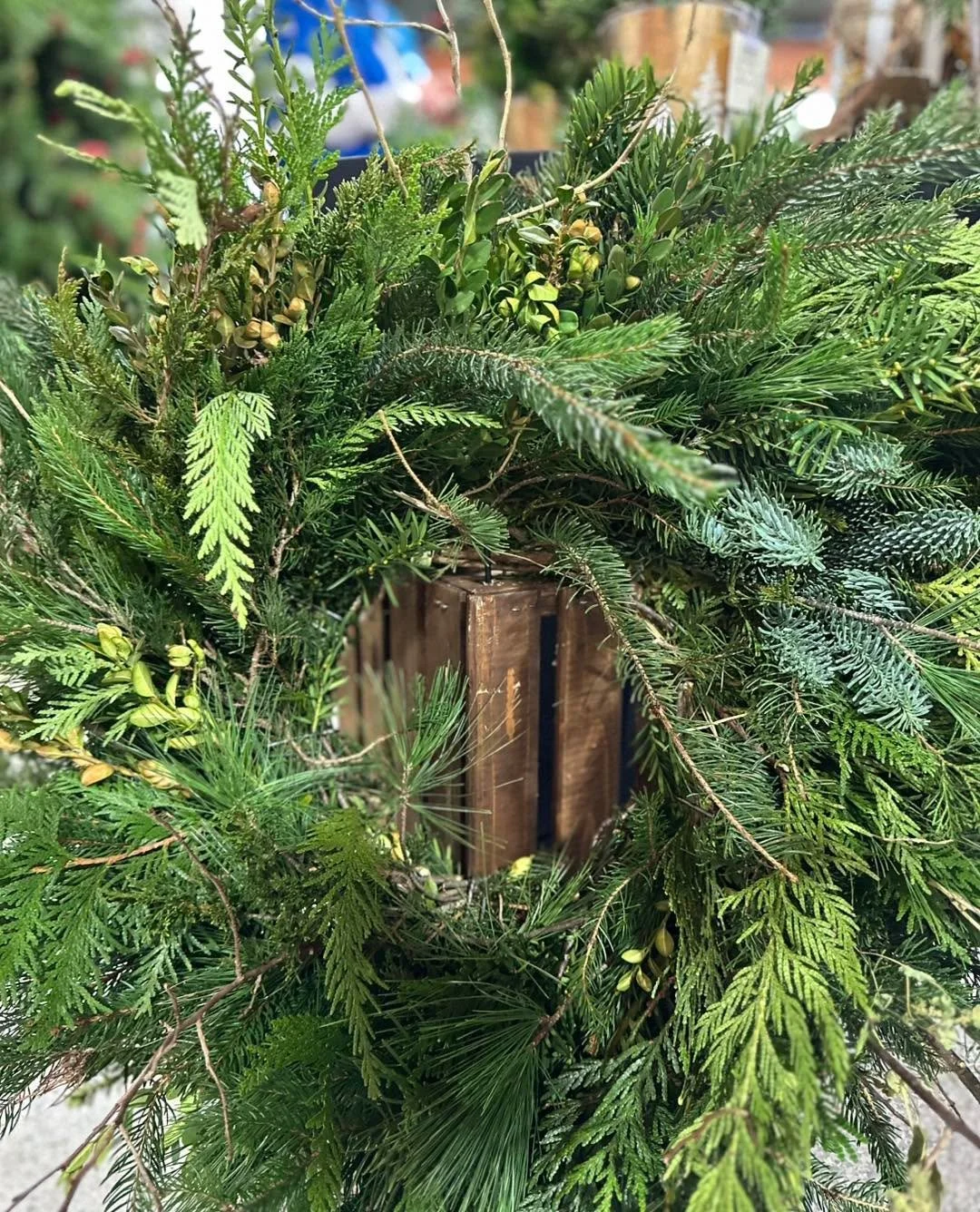 It&rsquo;s the last week to order your wreath ✨

If you&rsquo;ve been waiting for a sign to bring fresh winter greens to your door&hellip; this is it.
Once orders close, that&rsquo;s it for the season &mdash; so snag yours while you can!

Wanderingro